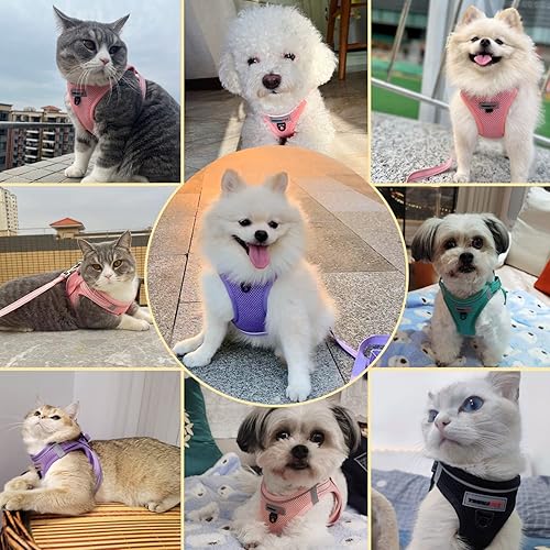Miniatura 4 de Juego de arnés y correa para perro, arnés sin tirones para perro, ajustable y reflectante de tela de malla acolchada, chaleco para perros y gatos