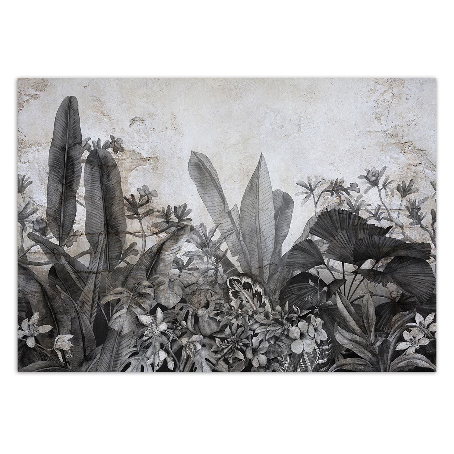 Feeby Fototapeta Flizelinowa Abstrakcja Mur Rośliny 368x254 cm Szary Tapeta XXL Dekroacja Ścienna Sypialnia Pokój Dzienny Biuro Kuchnia Korytarz Pokój Dziecka Motyw Florystyczny Egzotyka
