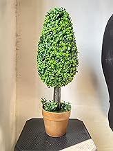 ONE MITTII Realistic Artificial Plant Like Christmas Tree 2 ft for Home Decoration Office Living Room Kitchen Corner Showpiece | Natura Look | 60 Cm | Green