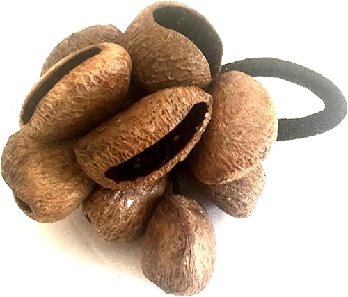 Miniatura 2 de Jive Maracas - Instrumento de percusión de sonajero de semillas de castaño - Hecho a mano - Nice Sound Brand (mango negro)