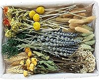 xinsconvey DIY Natural Dried Flower Set - Bulk Dried Roses, Bunny Tails & Lavender with Stems for Vases, Bouquets & Home Decor (Brown)