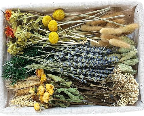 Juego de flores secas naturales, flores secas a granel para jarrón, flores secas con tallos, rosas secas, mini ramos de flores secas (marrón)