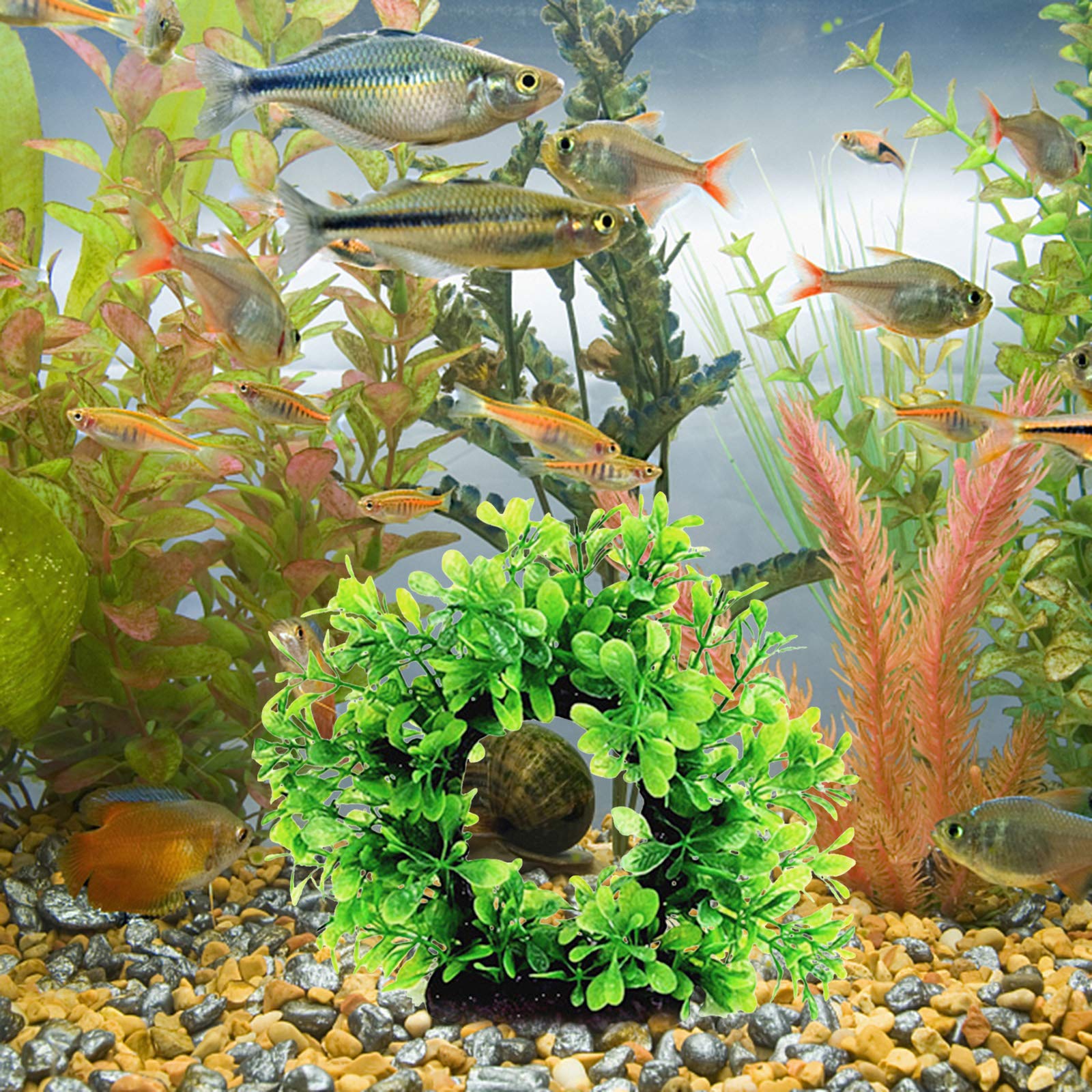 Artificial Aquatic Plants Arch Shape Aquarium Water Plant Decoration Ornament Fish Tank Simulation Plant Landscape Decor for Fish Shrimp Crab Play Hide BIANCO 30