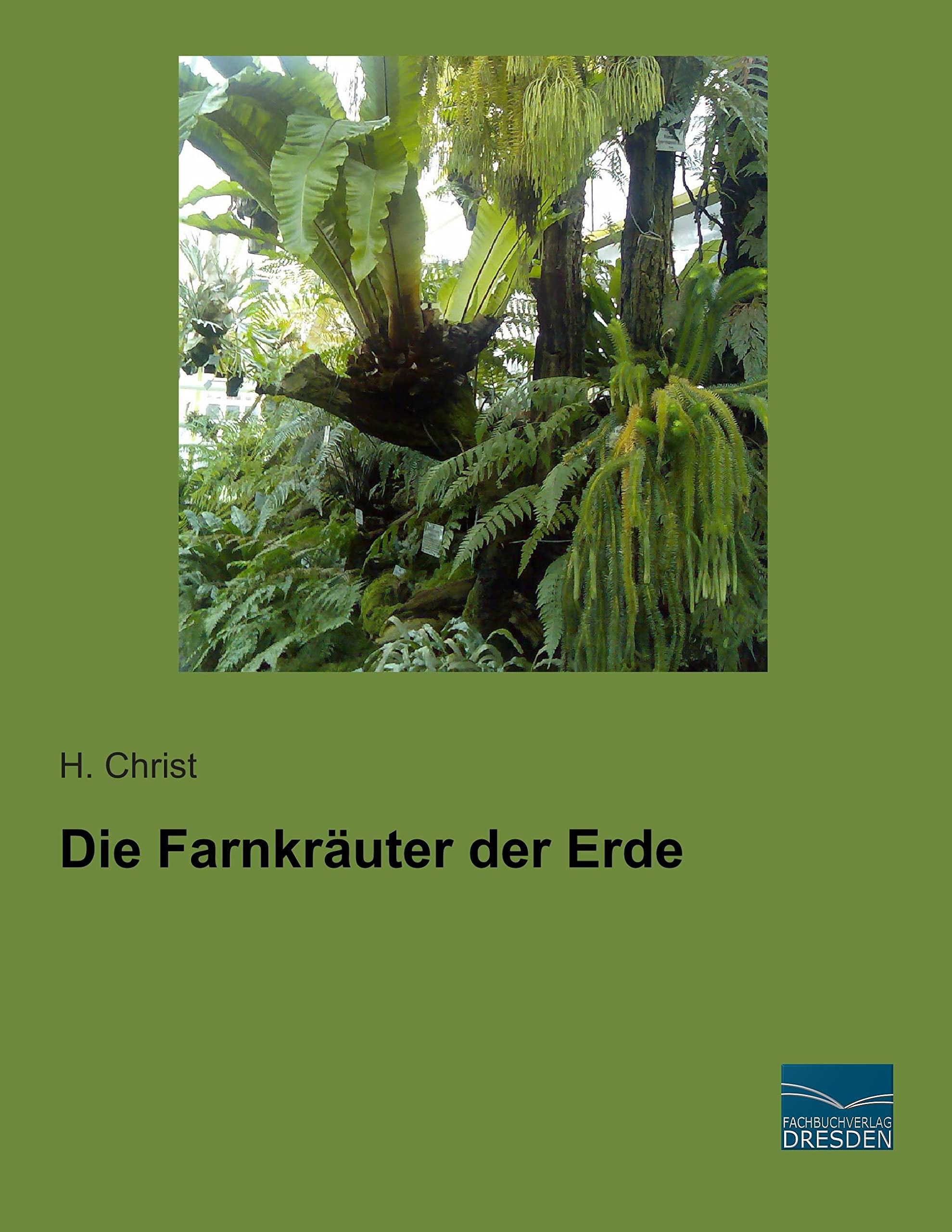 Die Farnkraeuter der Erde
