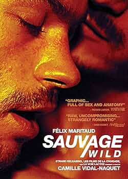 その他 La Chine Sauvage [DVD] Amazon.co.jp: Sauvage [DVD] : DVD