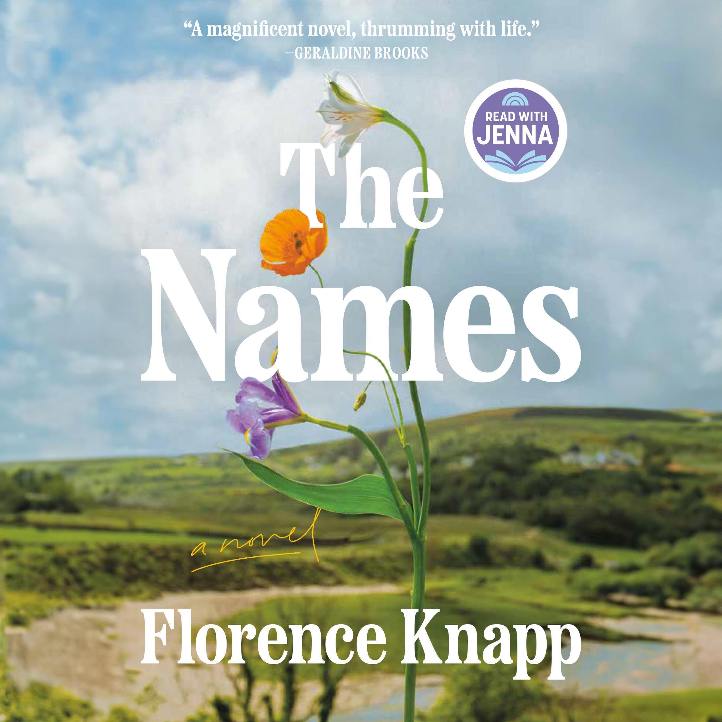 Cover art for The Names: A Read with Jenna Pick