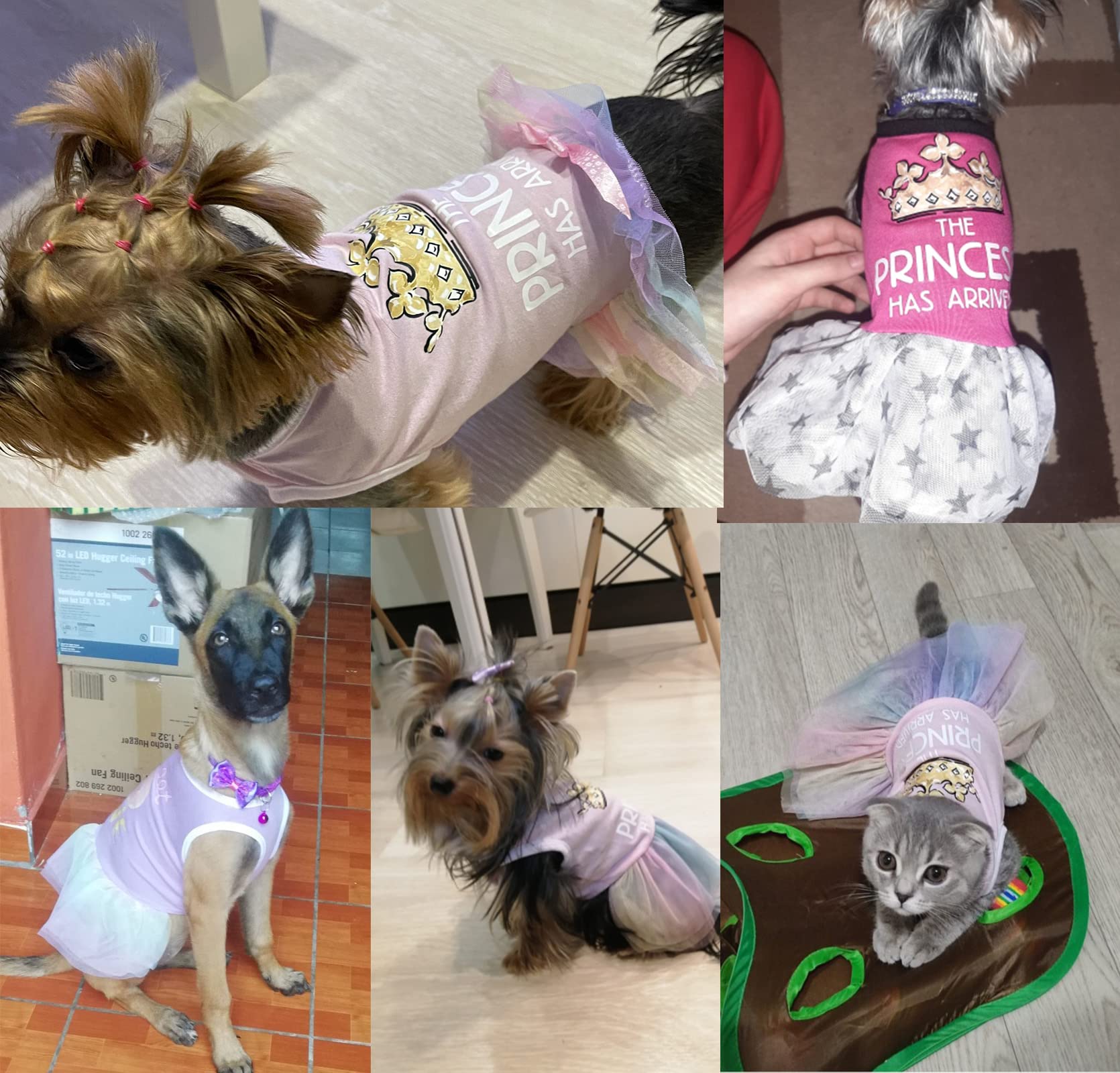 2 piezas de vestido de niña para perro, vestido de princesa con volantes, vestido de chihuahua con temática de vacaciones, ropa para mascotas con tul, ropa Yorkie XS, ropa para perros pequeños,