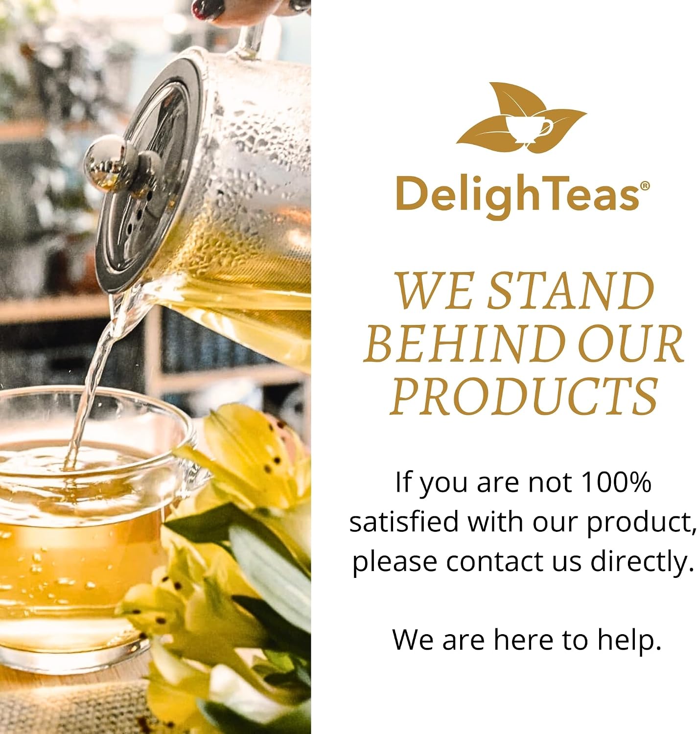 DelighTeas Premium Glass Teapot with Removable Stainless Steel Infuser (personal-sized, 15oz) – Borosilicate Glass – Non-Drip Spout – Modern Tea Pot for Loose Leaf Tea – Elegant Gift-Ready Box
