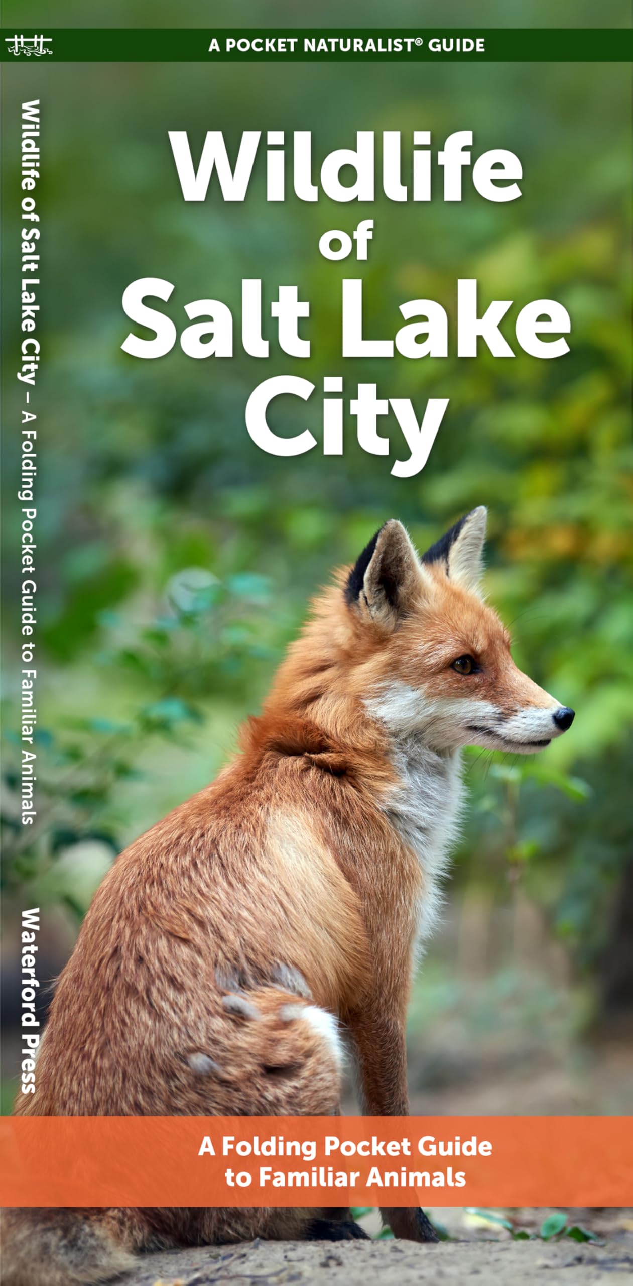 Wildlife of Salt Lake City: A Folding Pocket Guide to Familiar Animals (Nature Observation North America)