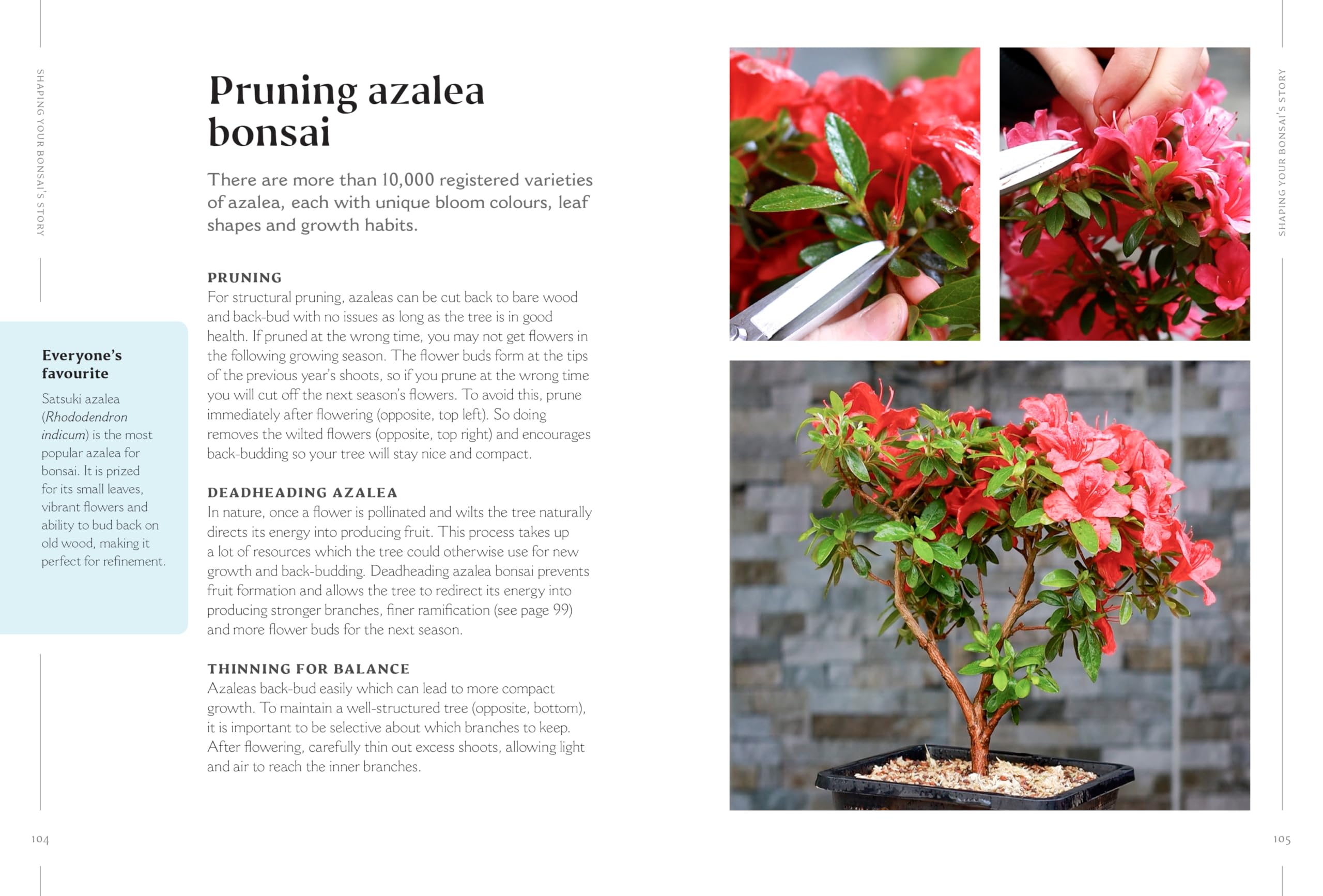 The Happy Bonsai Handbook: Essential advice and easy techniques for bonsai beginners and beyond