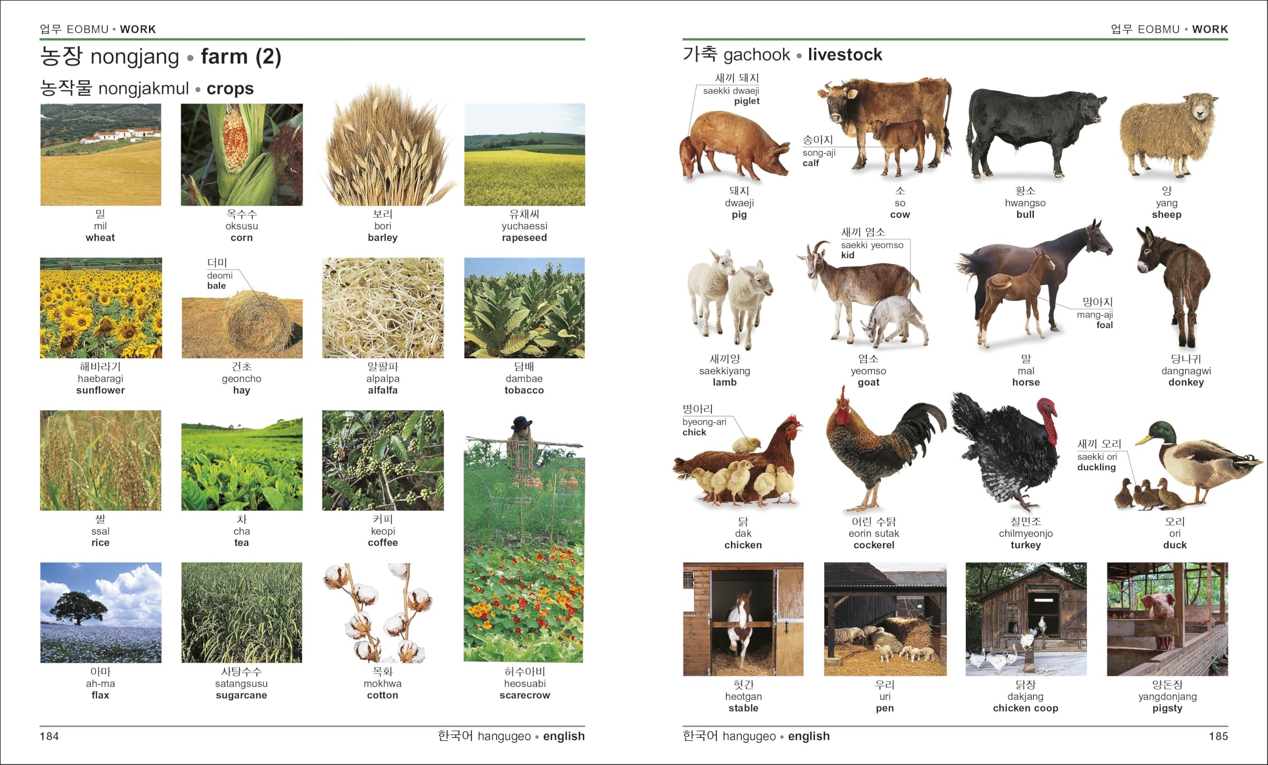 Korean English Bilingual Visual Dictionary