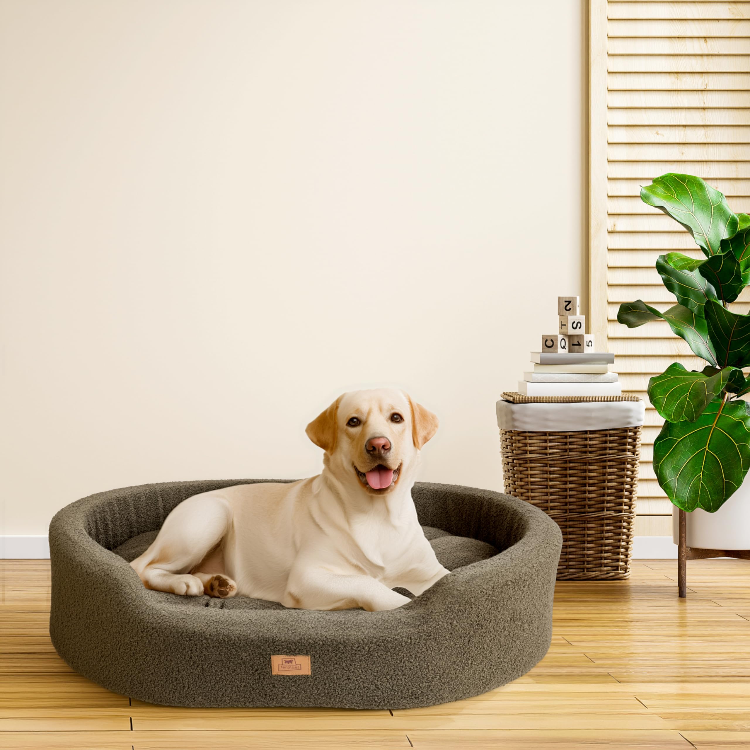 Ferplast Cojín Cama para Perros medianos, Cama para Gatos, Tejido sintético bouclé Lavable, Acolchado Suave, 80 x 55 x 18 cm. Verde