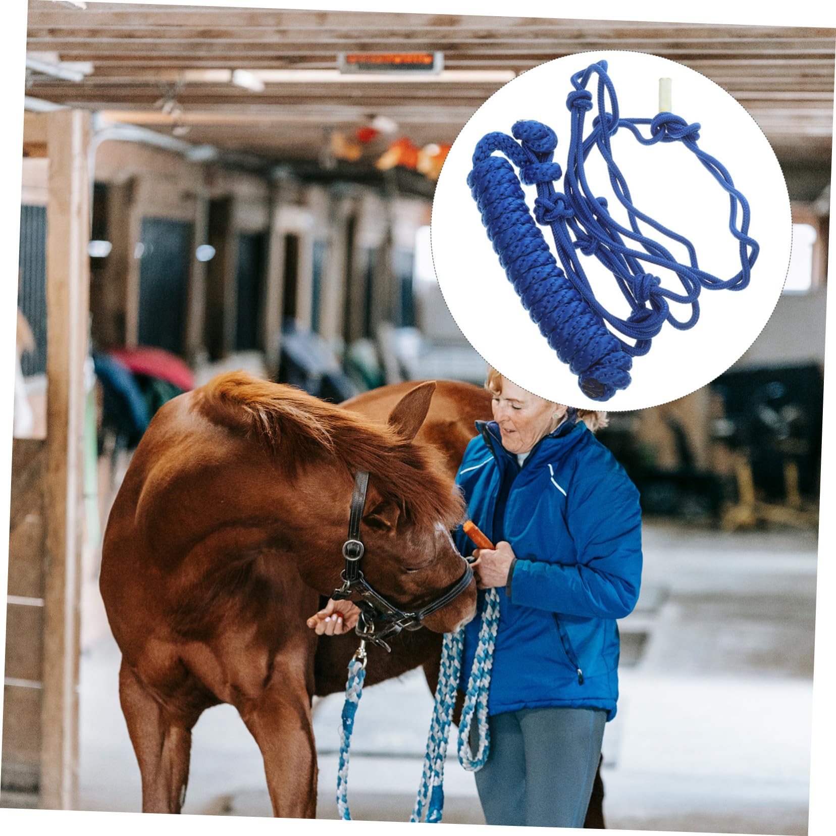 Cabestro de Cuerda Trenzada para Caballos, Azul, de Tela