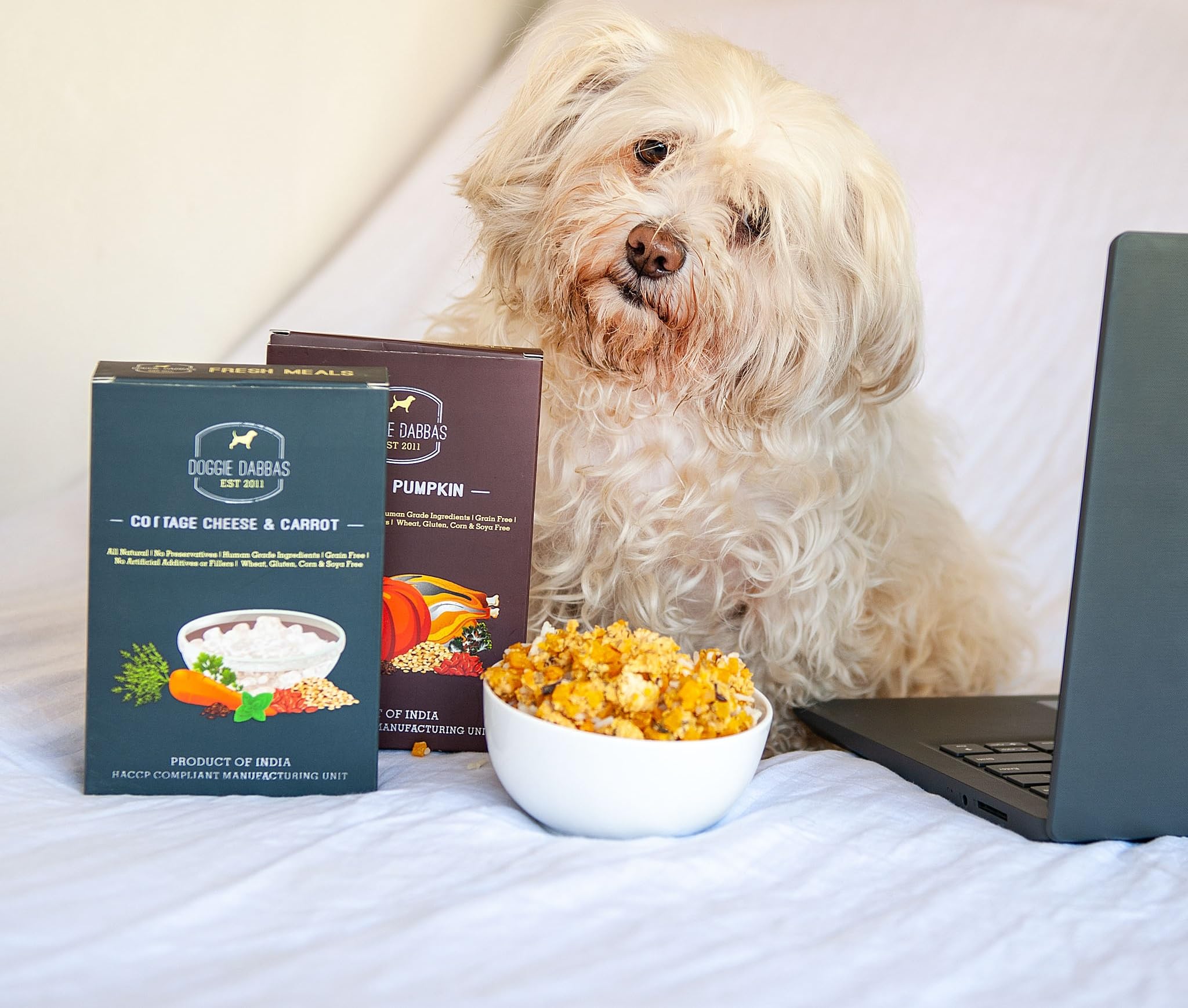 Doggie Dabbas Mini Taster Fresh Meals (Pack of 2) (Contains - 1 Chicken Meal, 1 Cottage Cheese Meal,) - 200g Each