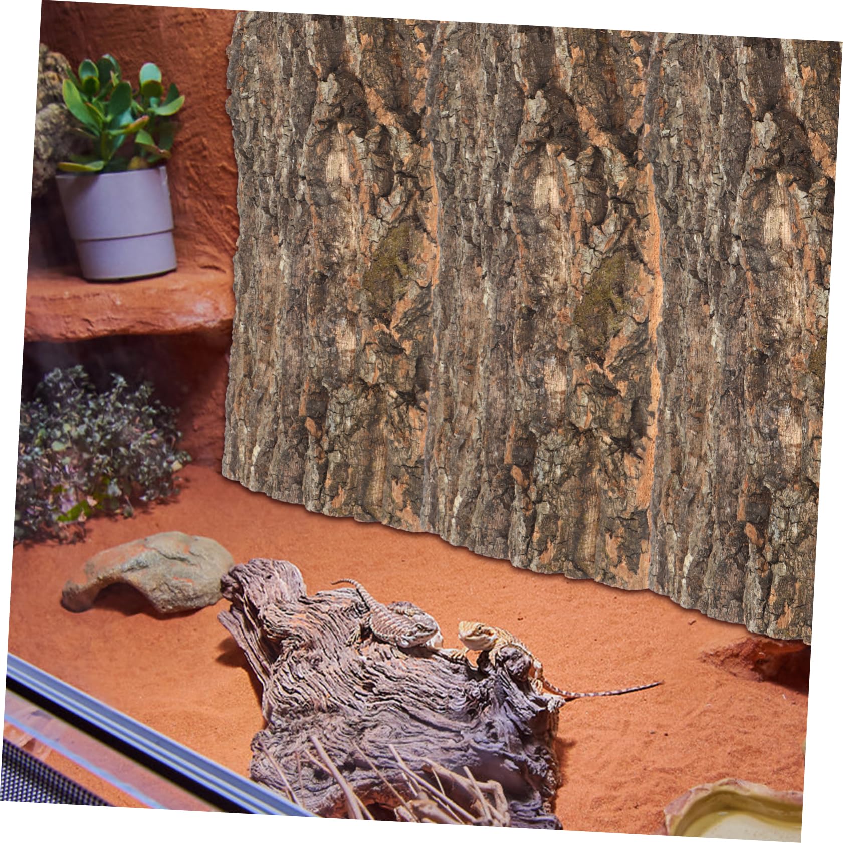 TOYANDONA 2 Pezzi Corteccia di Albero per Terrario Accessorio per Rettili Piattaforma per Arrampicata e Decorazione Naturale per Ragni e Lucertole