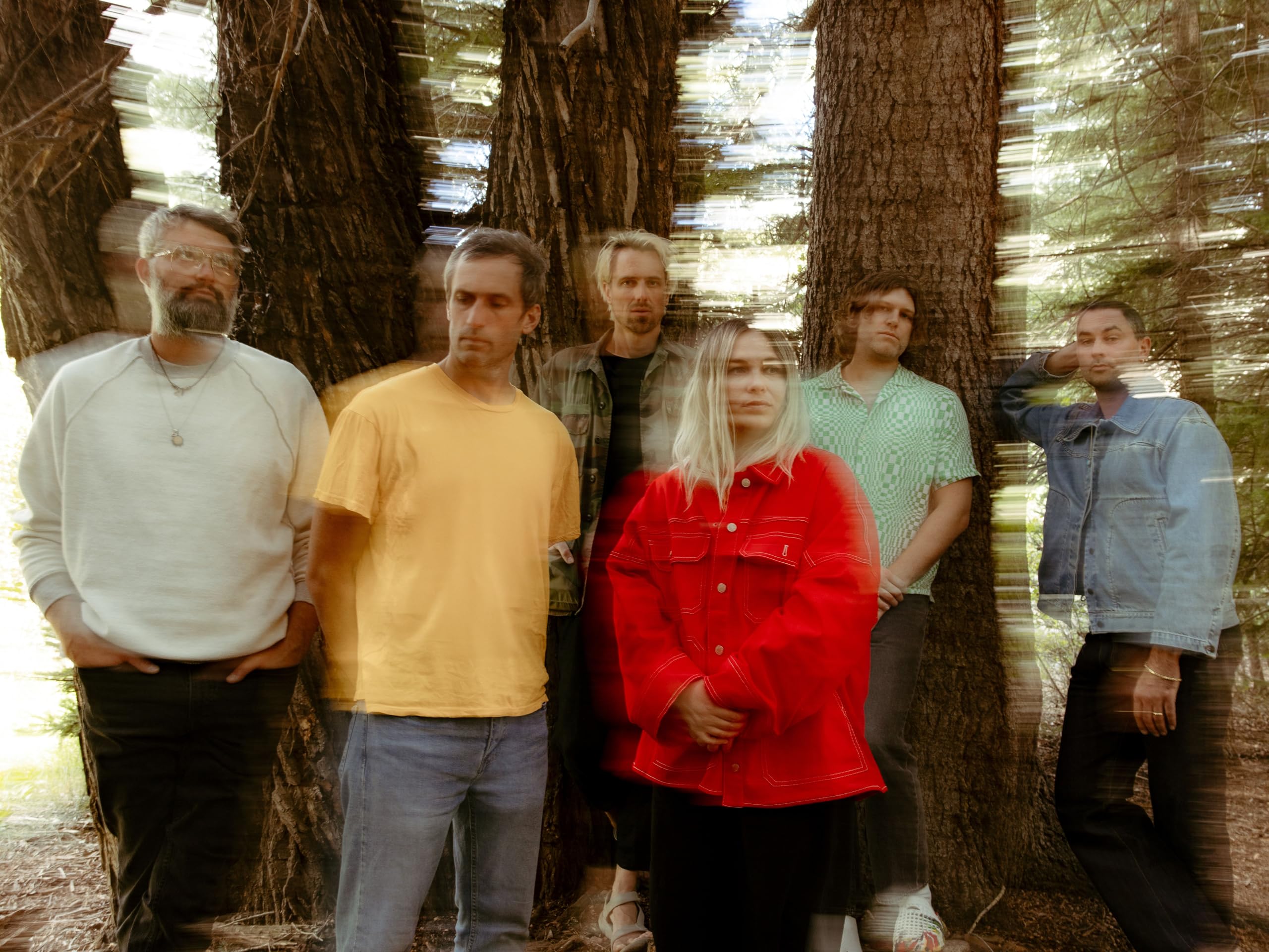 The Head and the Heart