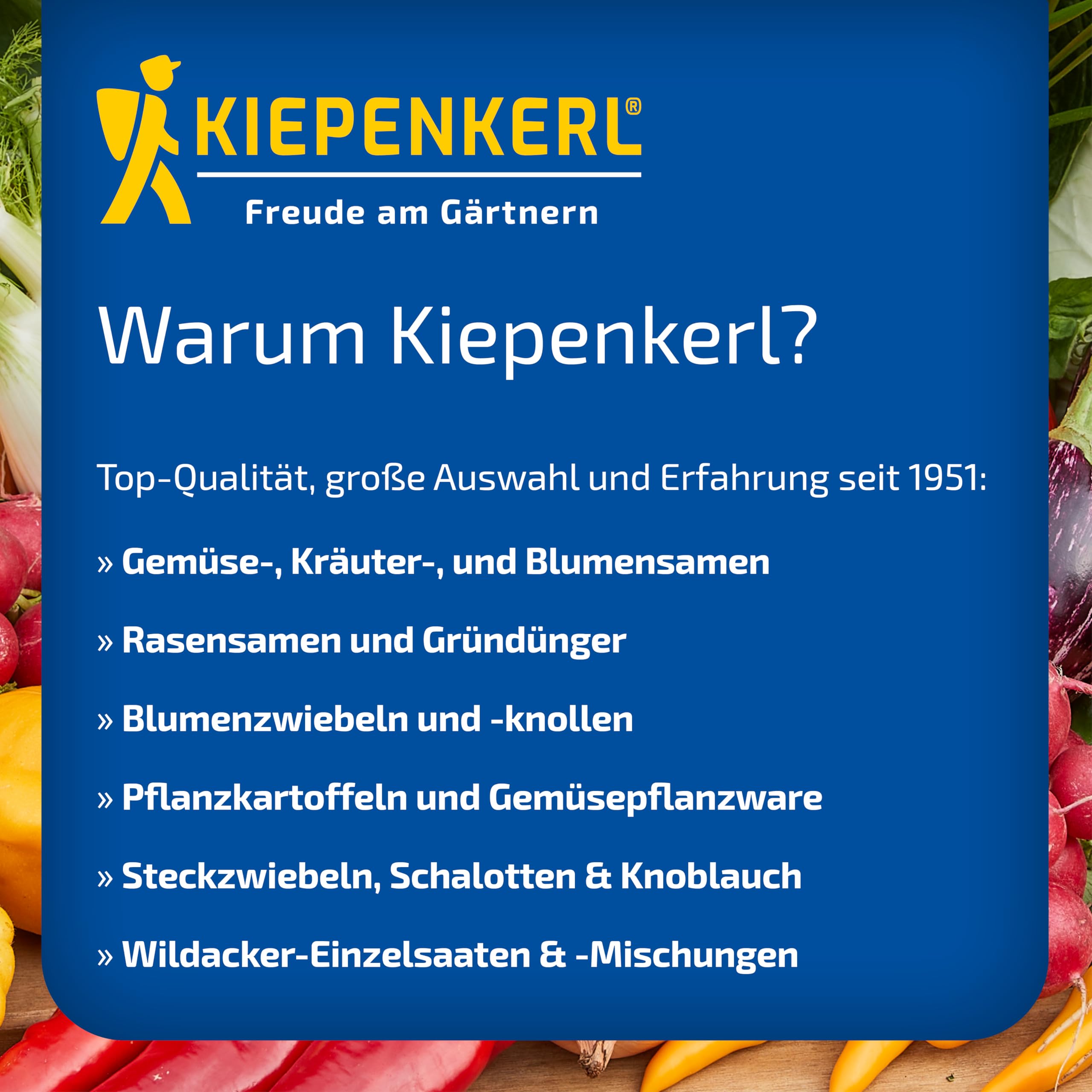Kiepenkerl Germoir pour graines germées
