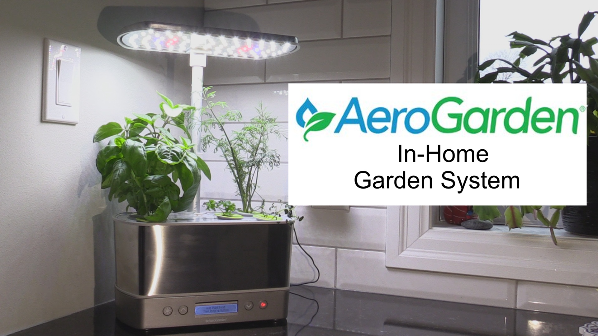 Watch AeroGarden In-Home Garden System on Amazon Live