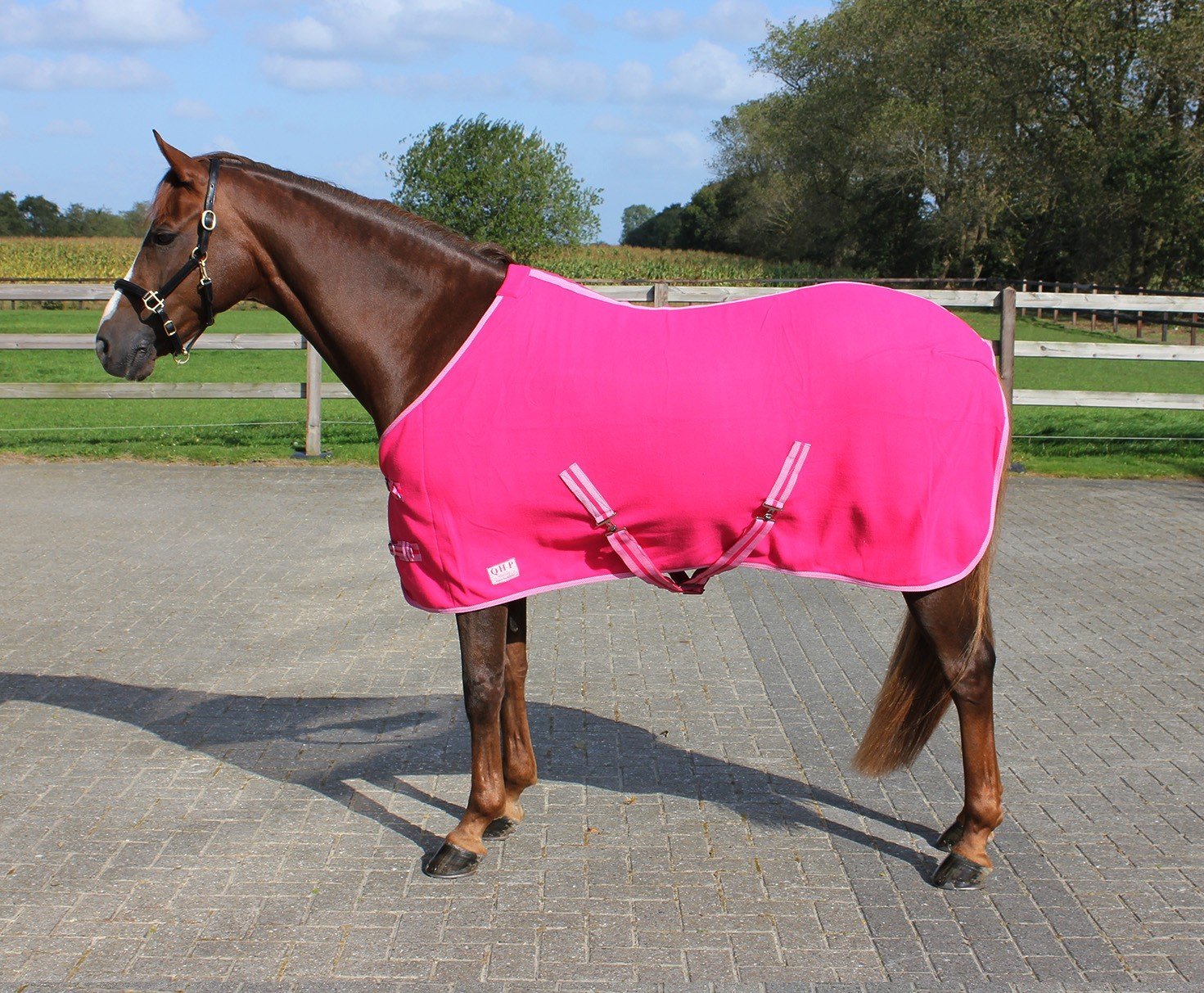 Qhp Cooler Rug Colour in Size: 145 cm. - Rosa - 145 Cm