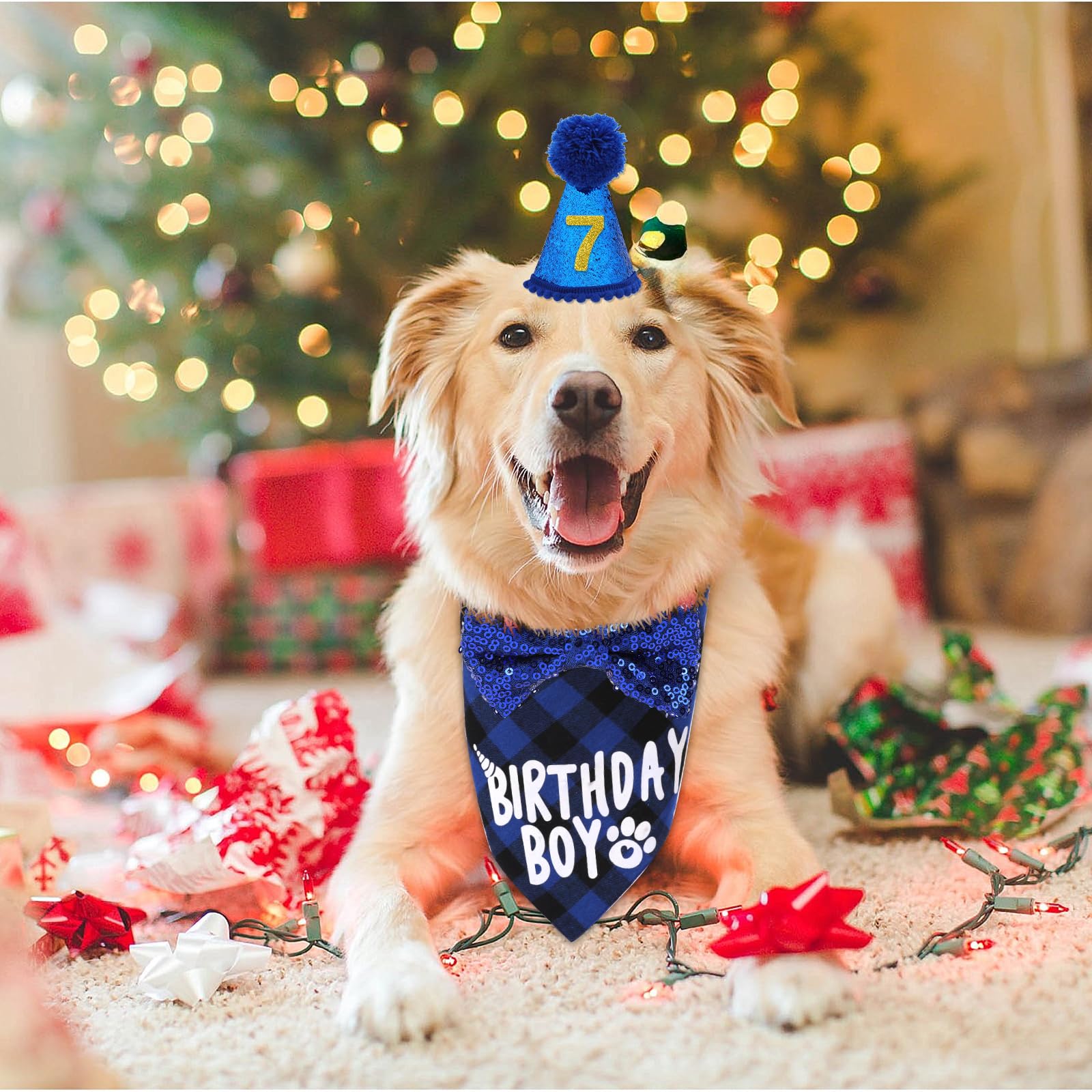 Dog Birthday Hat & Bandana Set – Adjustable Party Hat With Number & Bow For Large Medium Small Pets
