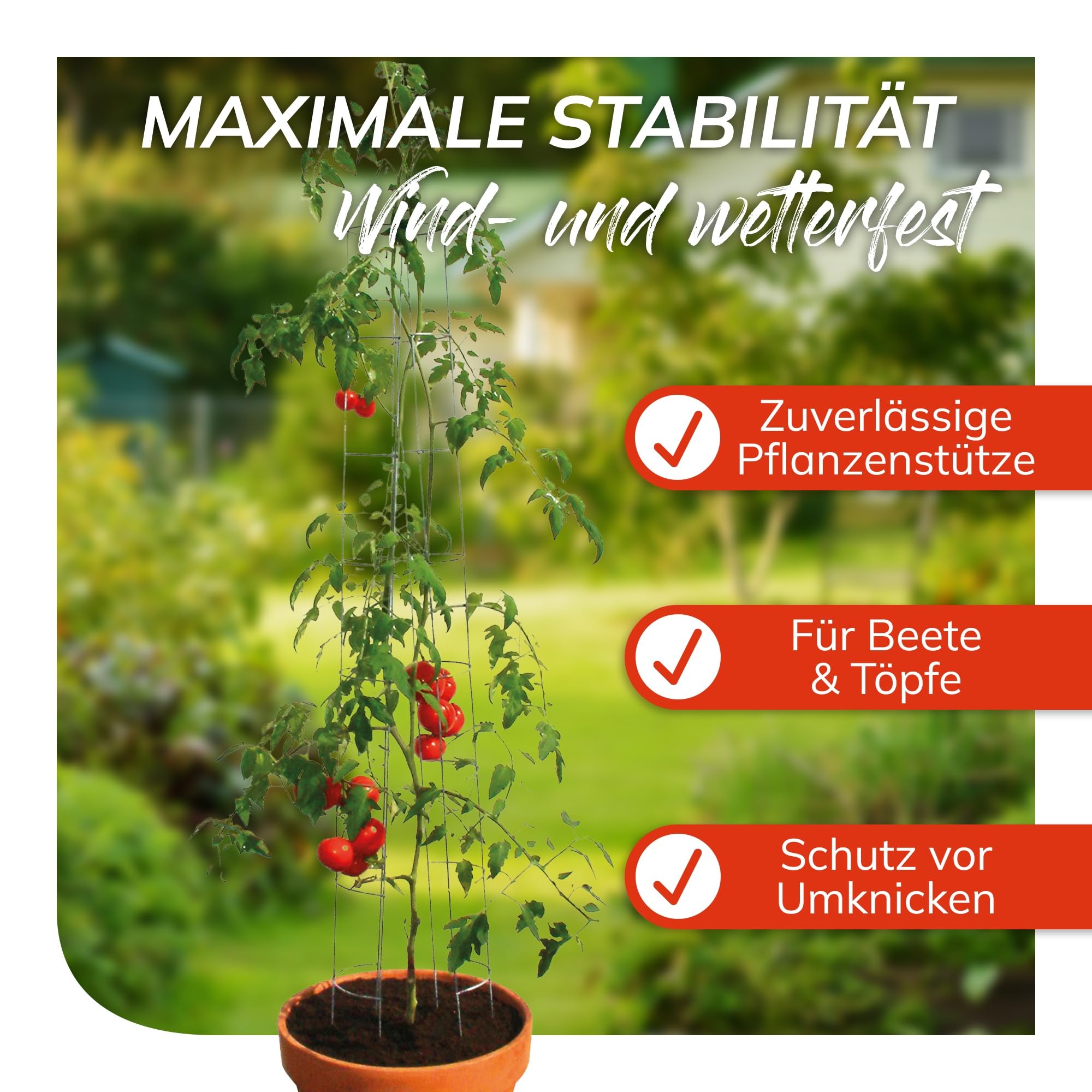 bellissa Tomaten Rankhilfe Tomatenturm 6er-Set Stahl verzinkt 120 cm