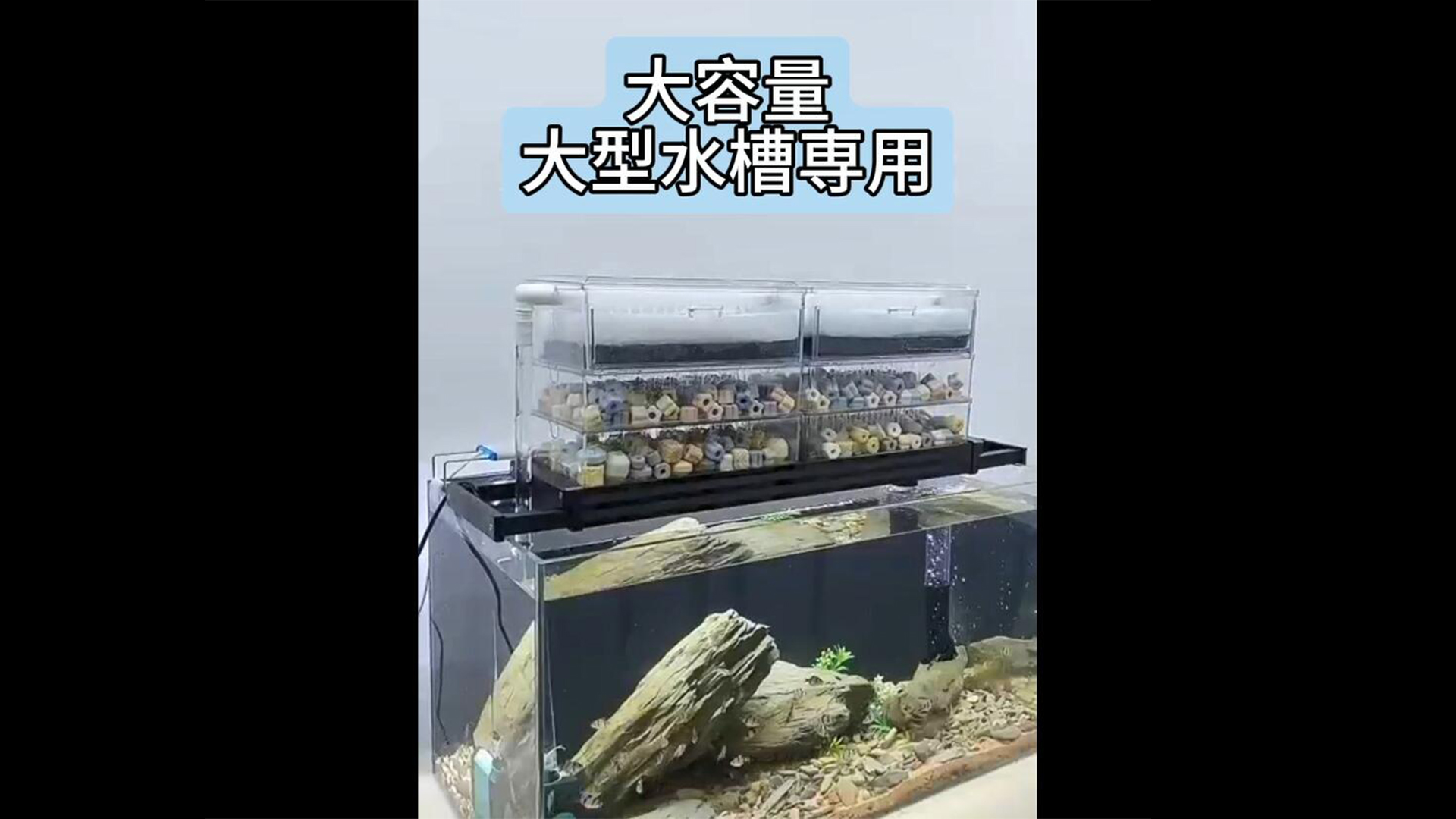 Amazon | 大型上部トリクルフィルター 透明で美しいウェット&ドライ