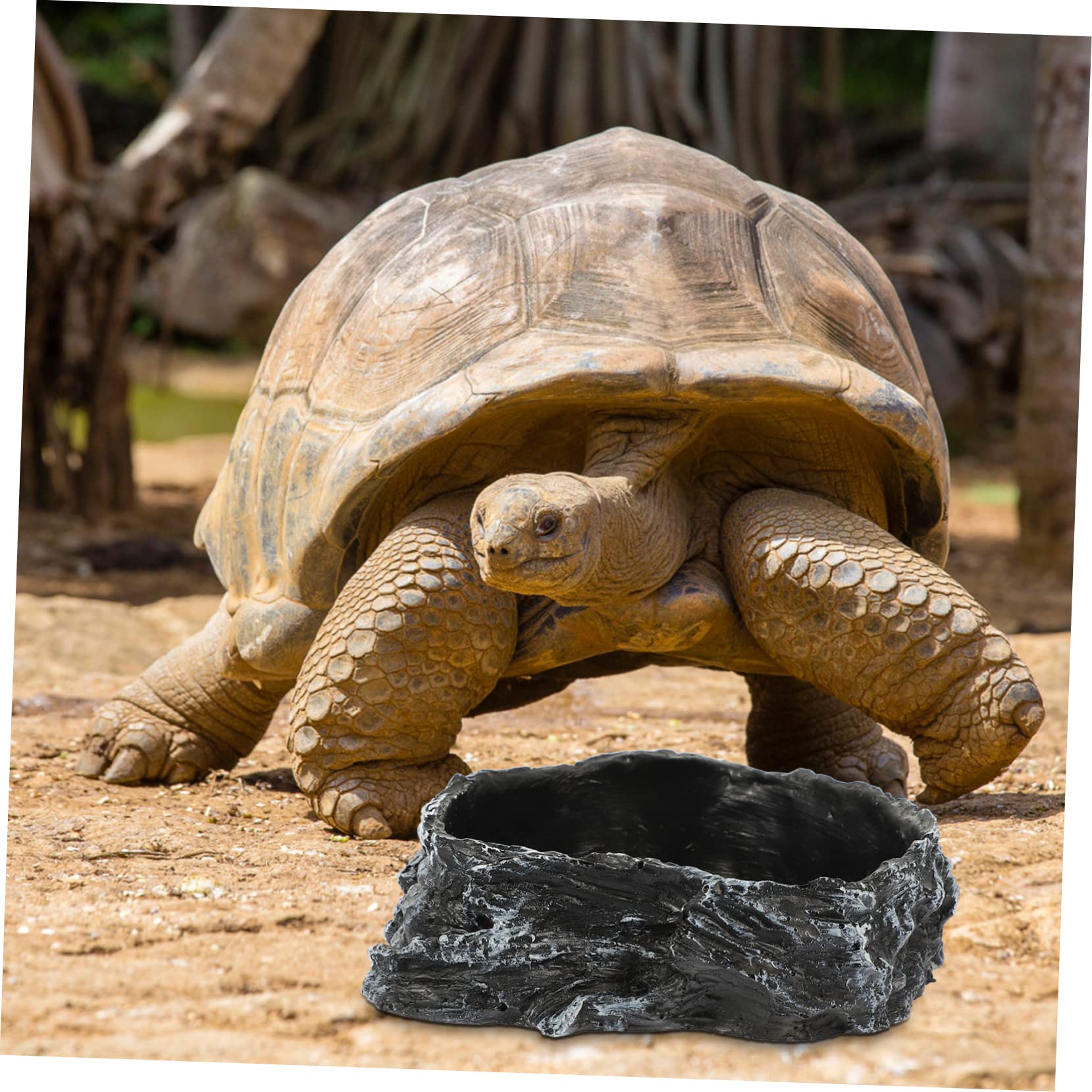 Cuenco de agua para reptiles Cuenco de alimentación for reptiles, cuenco de comida for mascotas trepadoras, cuenco de alimentación for lagartos, accesorios for hábitat de tortugas, plato de roca for s