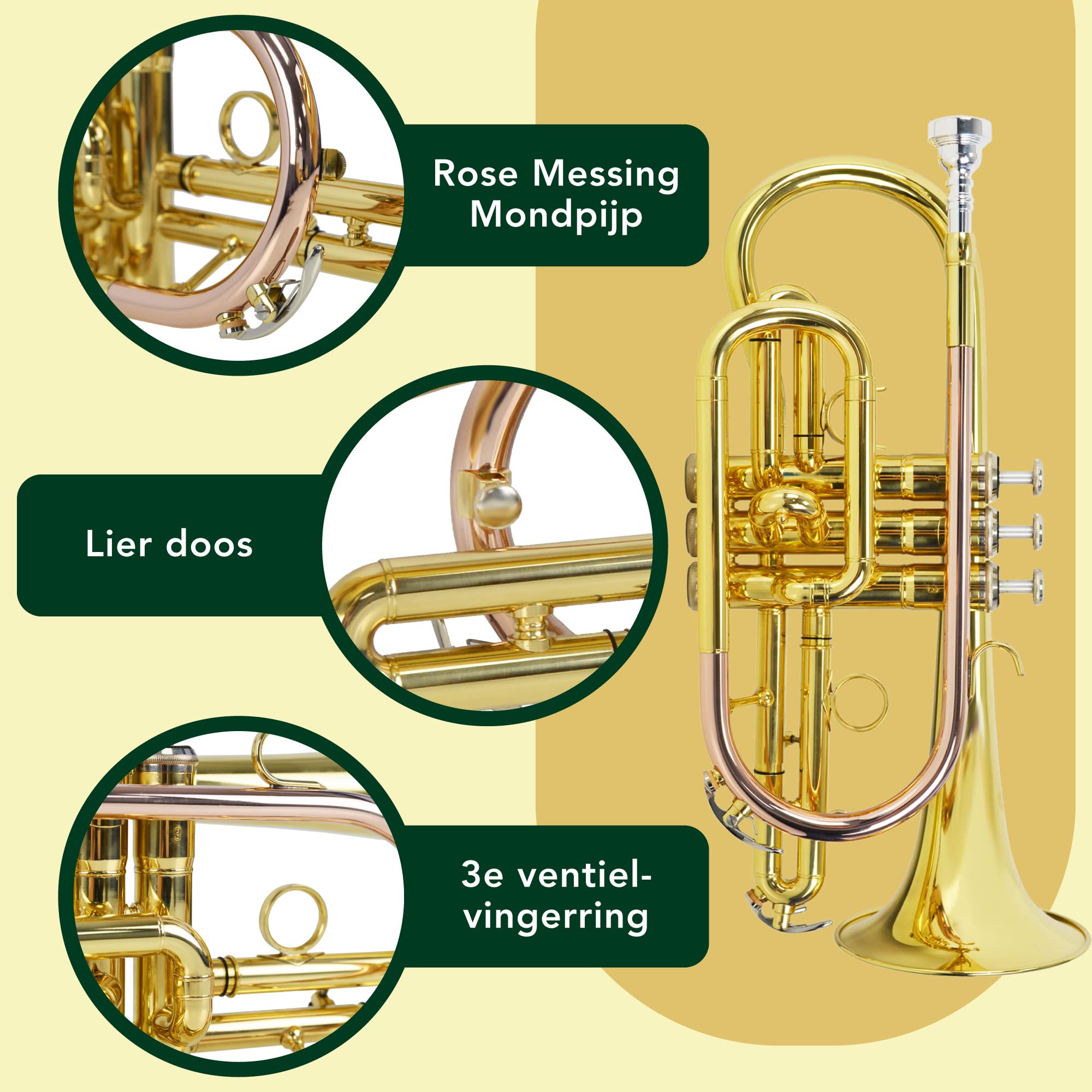 Montreux Student Bb -Trombone Voor Beginners Met Lichtgewicht Beschermende Draagtas, 12C Mondstuk - Lak Messing, 8 Inch / 20 Cm Bel, B