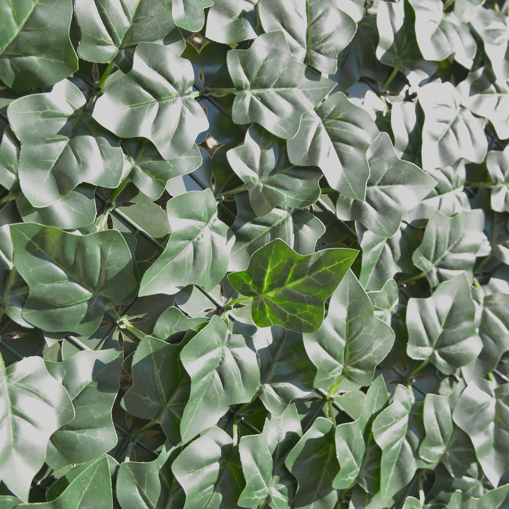 TENAX Divy Hedera Plus 100x300 cm Verde, Siepe Sintetica con Foglie in Polietilene Tipo Edera a Schermatura Totale per Balconi, Giardini e Recinzioni