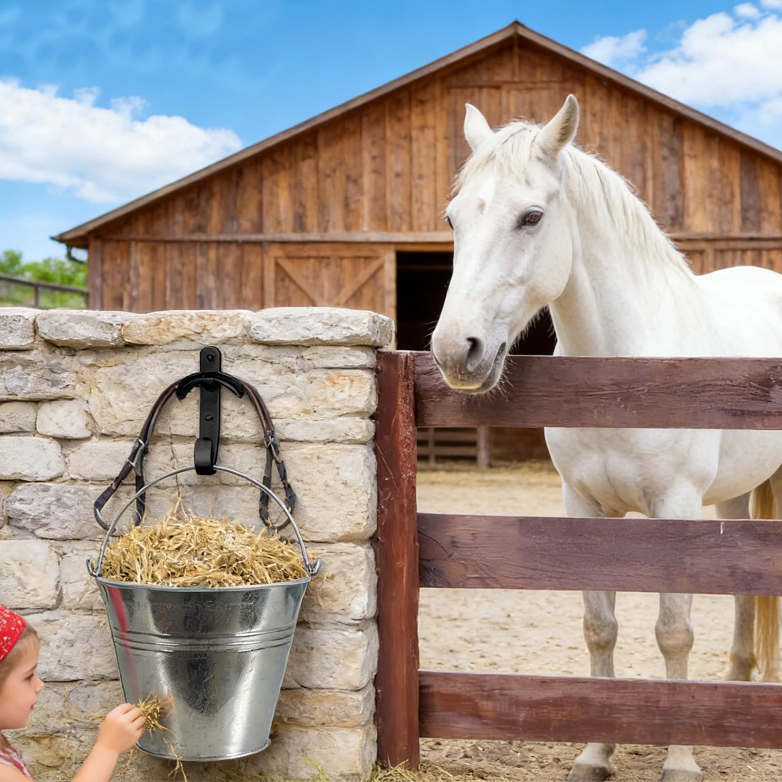 Lot De 6 Bridons Pour Cheval: Generisch Crochet Pour Bride, Avec Vis, Crochet Pour Bride De Cheval Pour La Maison, L'extérieur, La Cour, Le Parc, La Cour, Le Jardin, La Chambre à Coucher