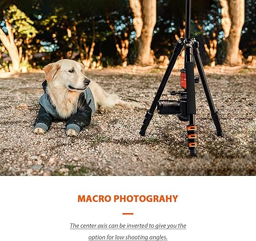 Miniatura 7 de GEEKOTO Trípode de video, trípode de cámara profesional para DSLR, monopie de aluminio de 77 pulgadas para DSLR, trípode de aluminio compacto con