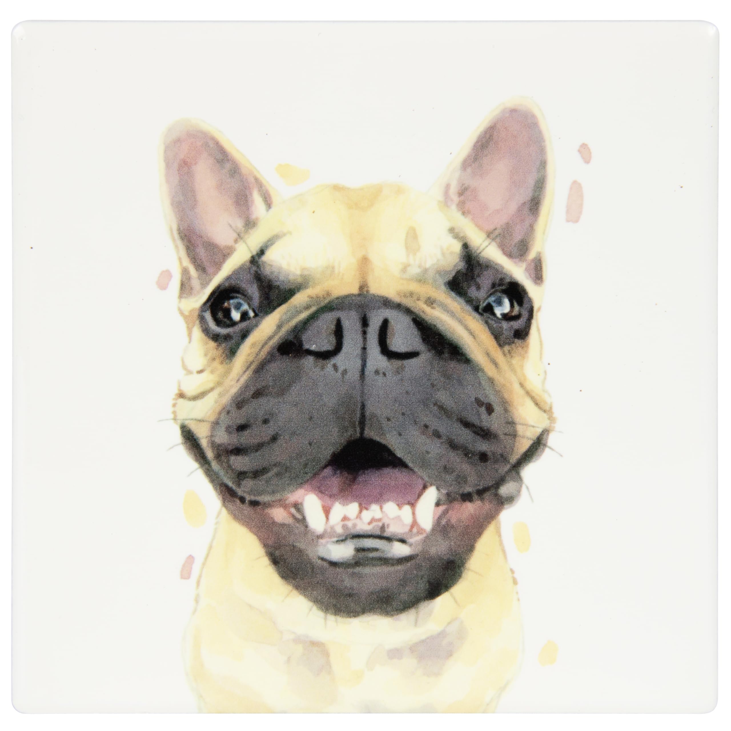 Lesser & Pavey Frenchie Coaster Robert James Hull For Home & Office | Stylish Coasters For Kitchen & Dining | Durable Drinks Coasters For Tabletops | Decorative Home Accessories for Drinks & Tables