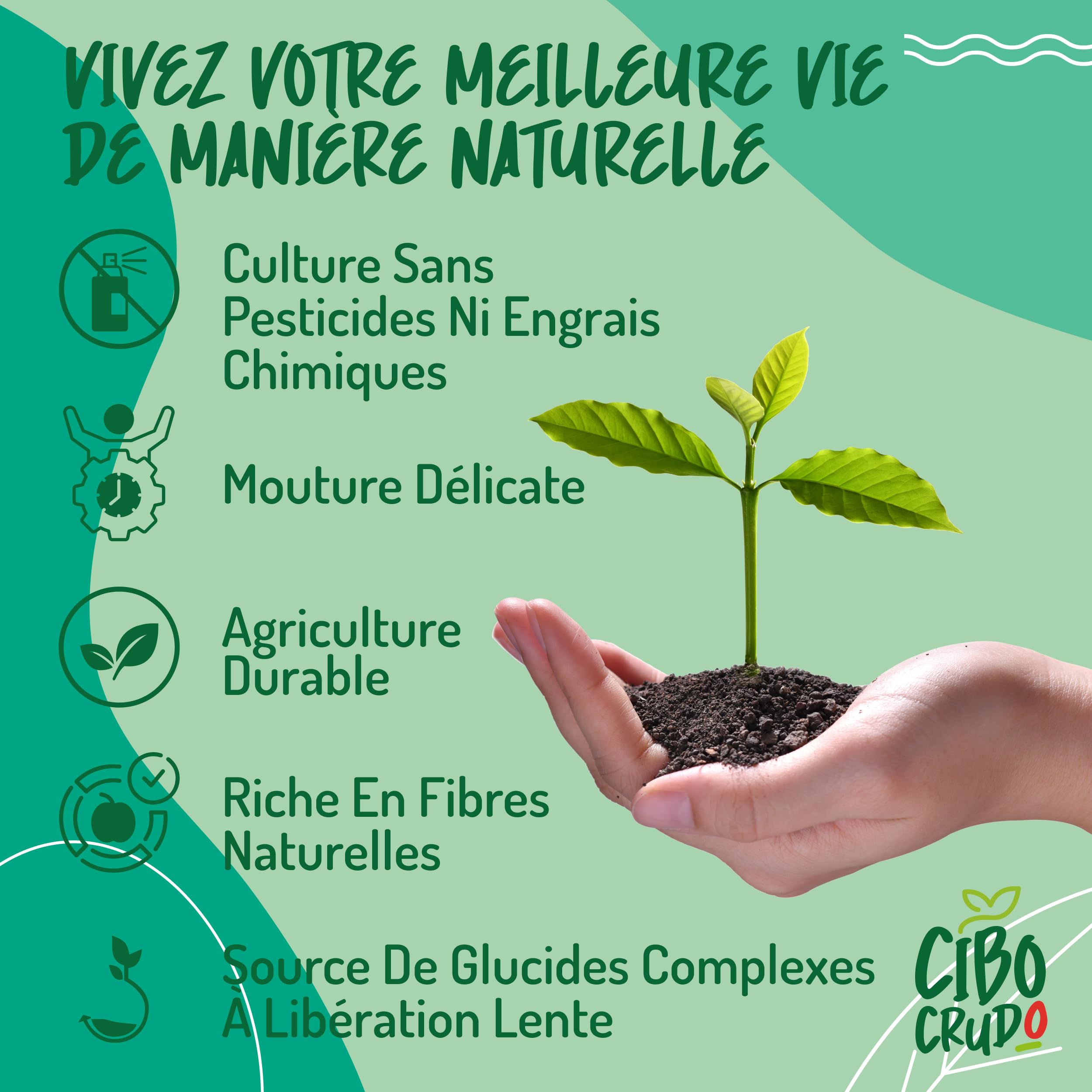 CiboCrudo Gomme Arabique Bio - 500g. Fibre Alimentaire d'Acacia Riche en Fibres (85%) et Sans Sucres. Fibre Soluble Végétaliennes Excellentes pour es Régimes Cétogènes et la Digestion.