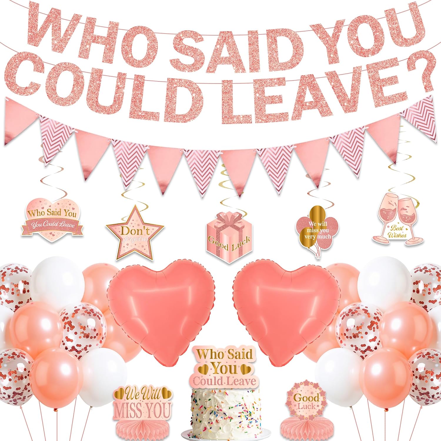 Going Away Party Decorations Kit - Who Said You Could Leave Decoration with Banner Hanging Swirls Honeycomb Pennant Balloons Cake Topper, Good Luck We Will Miss You Farewell Party Supplies