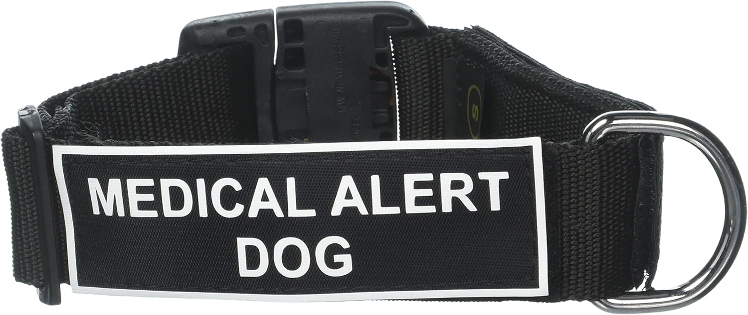 Dean and Tyler "Patch Collar", Nylon Dog Collar with