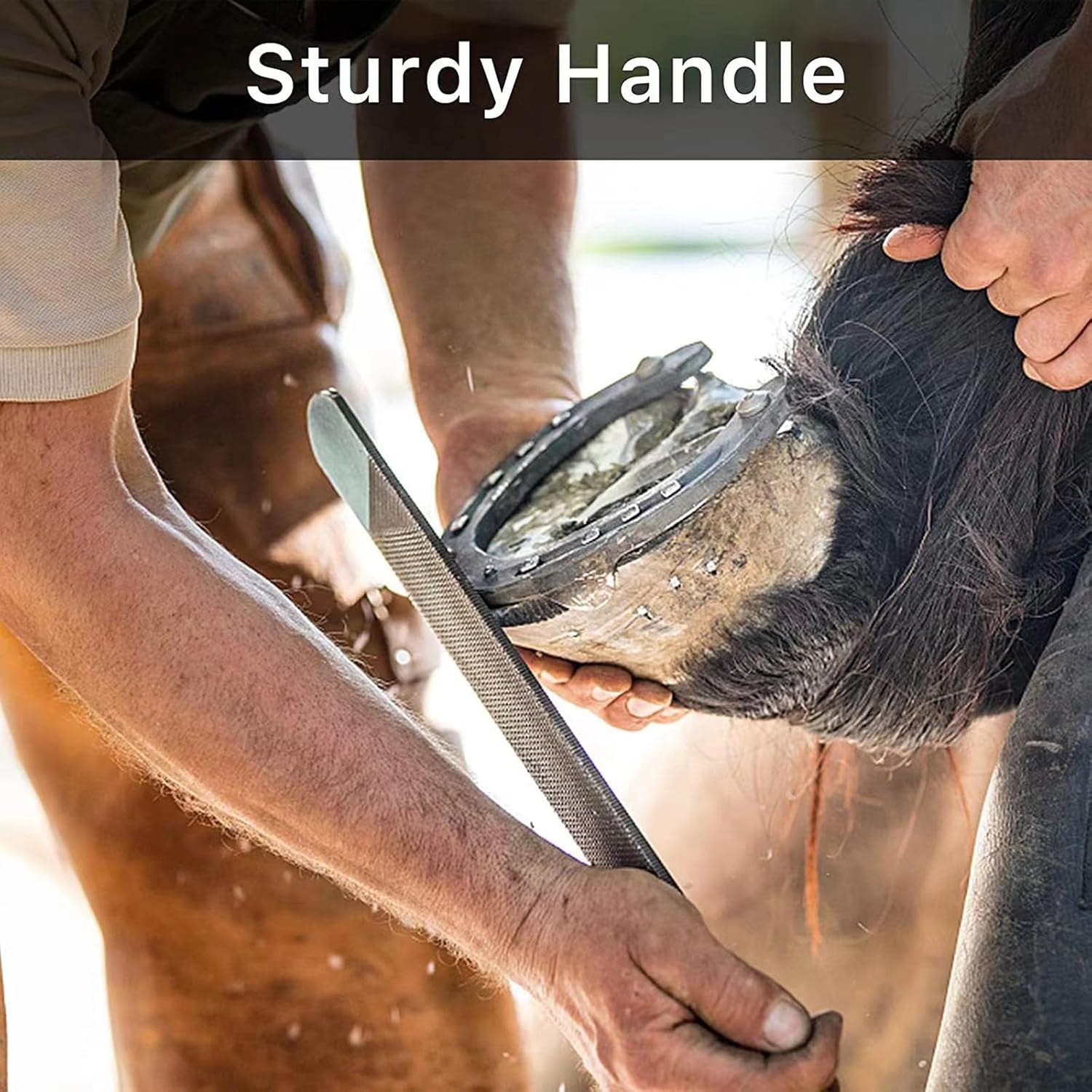 14 inch Farrier Hoof Tool Kit Farrier Tool Kit（8 Piece）Professional