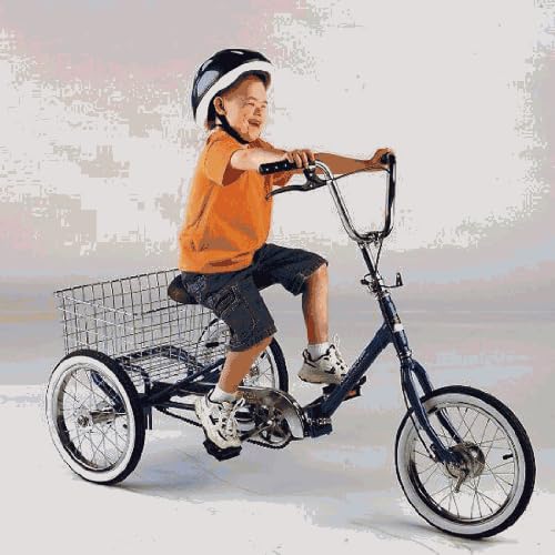 Ride Ons Tricycles Youth Developmental Youth Trike Fixed