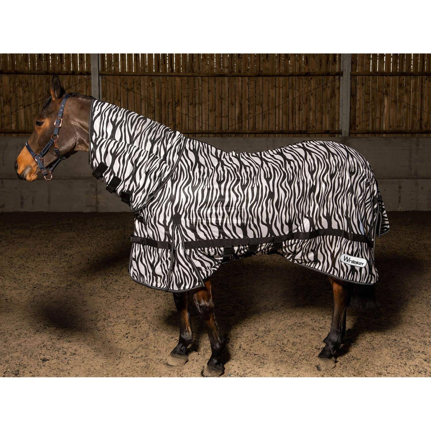 Whitaker Marwell Zebra Horse Fly Rug (6´ 3) (Black/White)