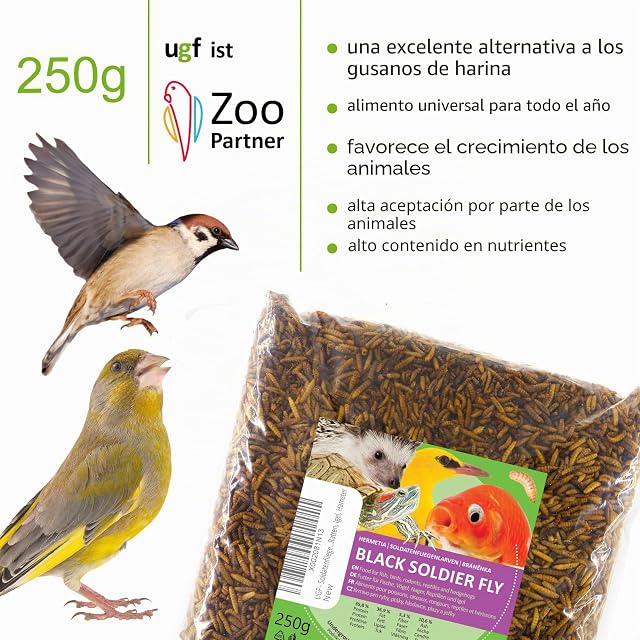 Foto 2 de 7 de UGF - Larvas de mosca de soldado Hermetia - Mejor que los gusanos secos de la harina (250 g)