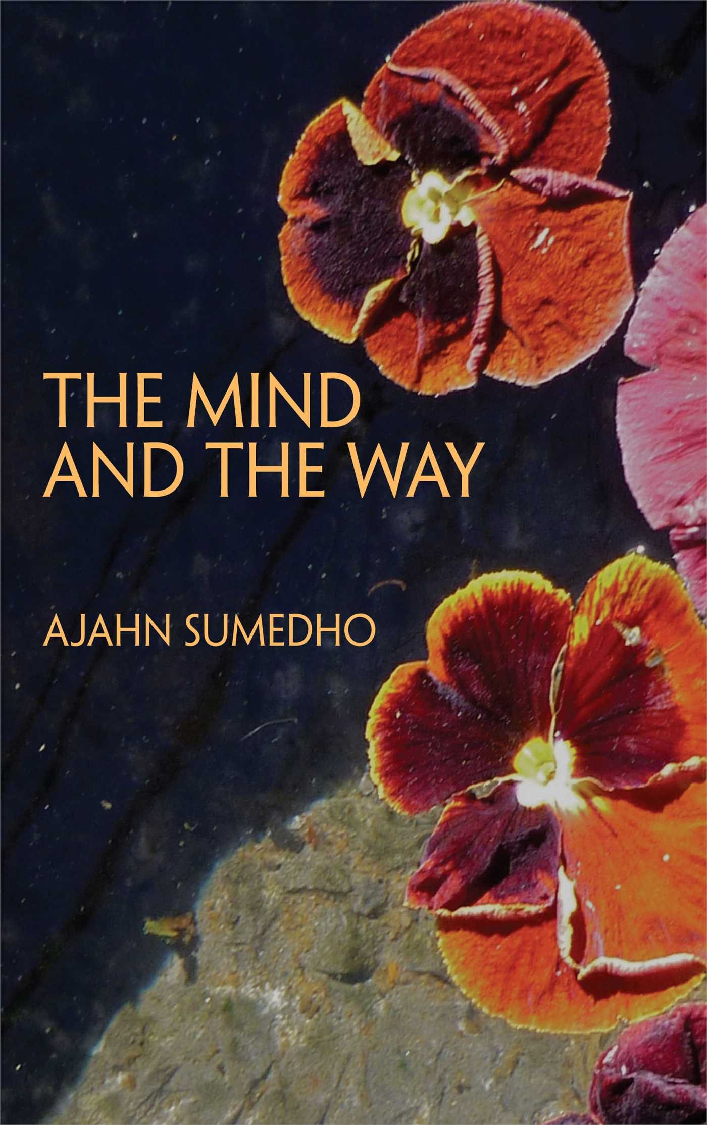 Buy The Mind and the Way: Buddhist Reflections on Life — BookShops.in