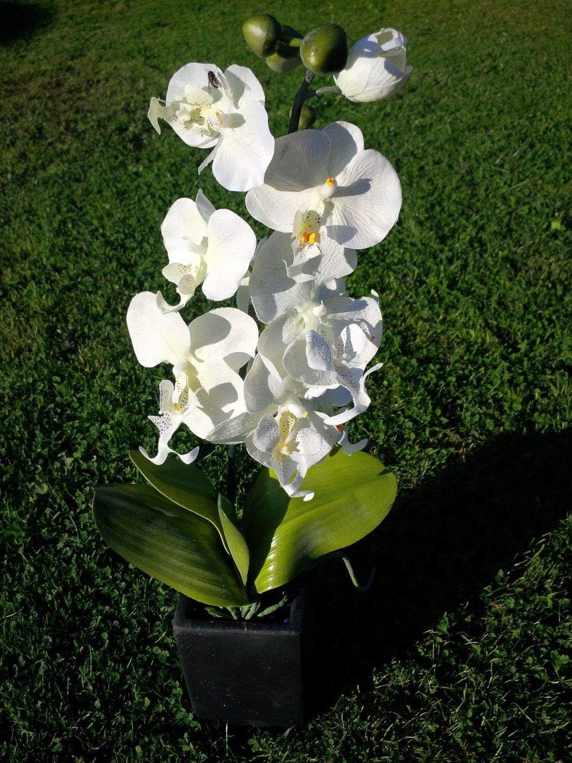 UKGardens Artificial Orchid Plant White Orchid in a Tall Square