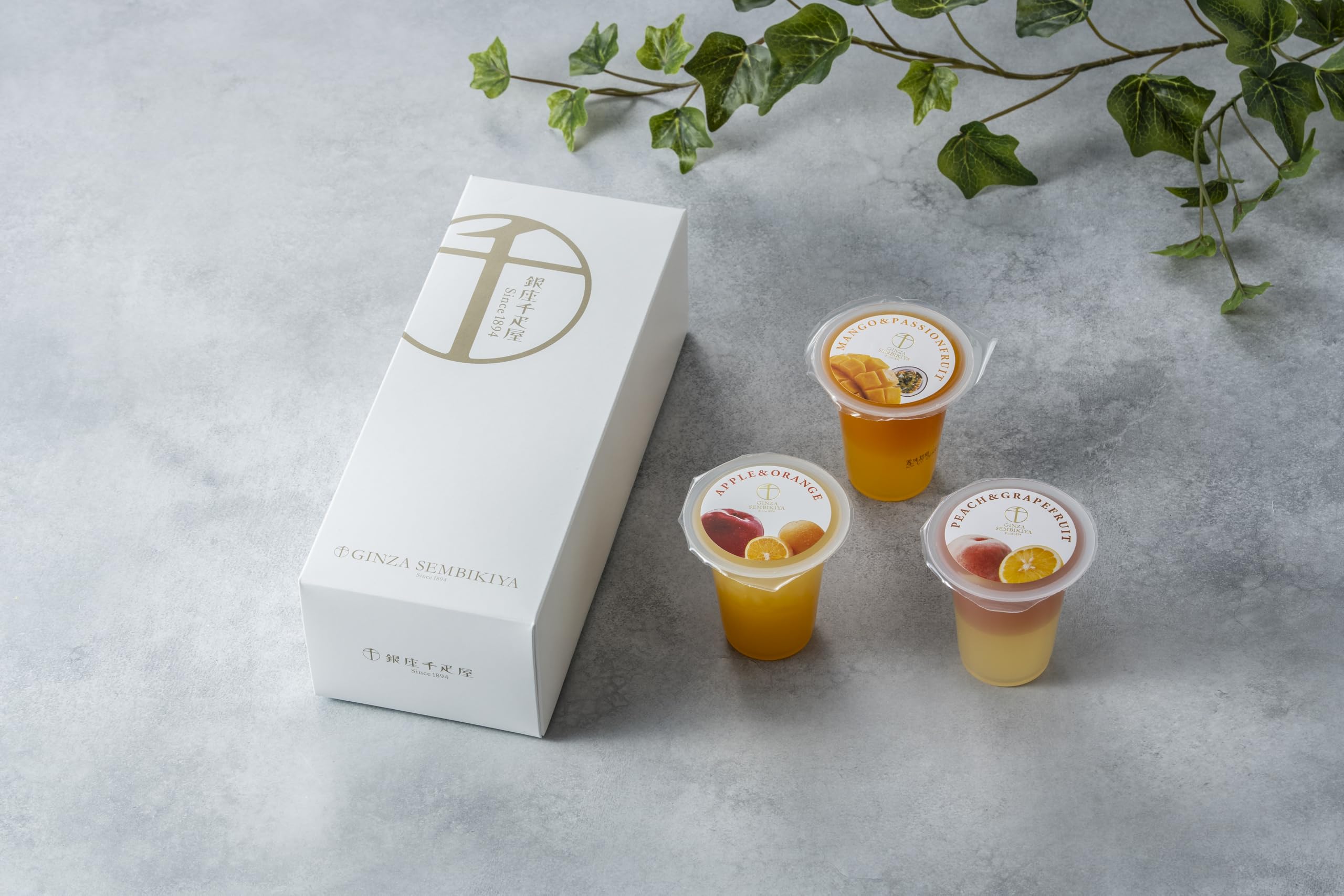 Amazon.co.jp: 千(マル)∞銀座千疋屋 銀座千疋屋 銀座フルーツジュレ 3