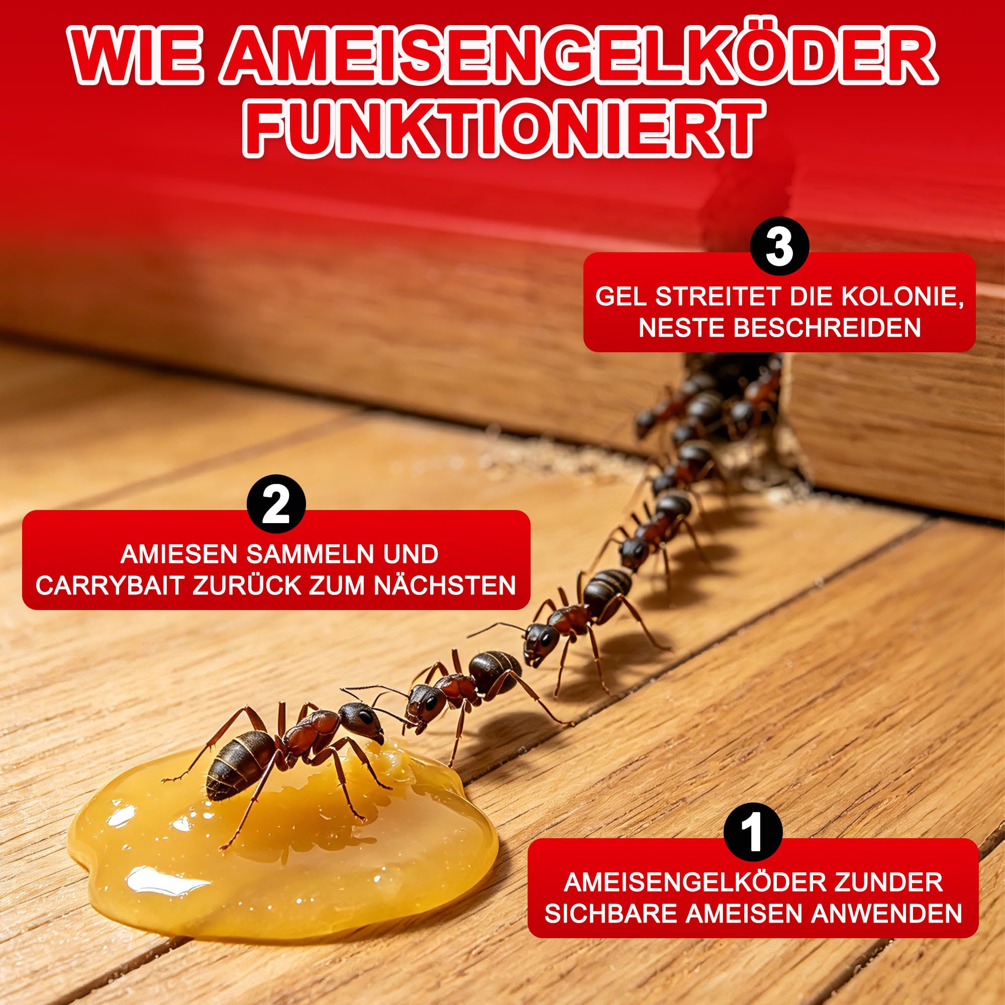 10 Stück Ameisengel Köder - 10 * 10G Ameisen Killer in Innenräumen, Sicher für Kinder & Haustiere