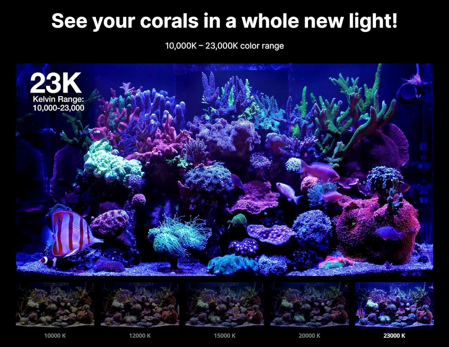 Red Sea ReefLED G2 115 Watt Saltwater Aquarium Light Reef | ReefBeat App Controlled for Fish Tank LED Lights for Corals Reef Marine