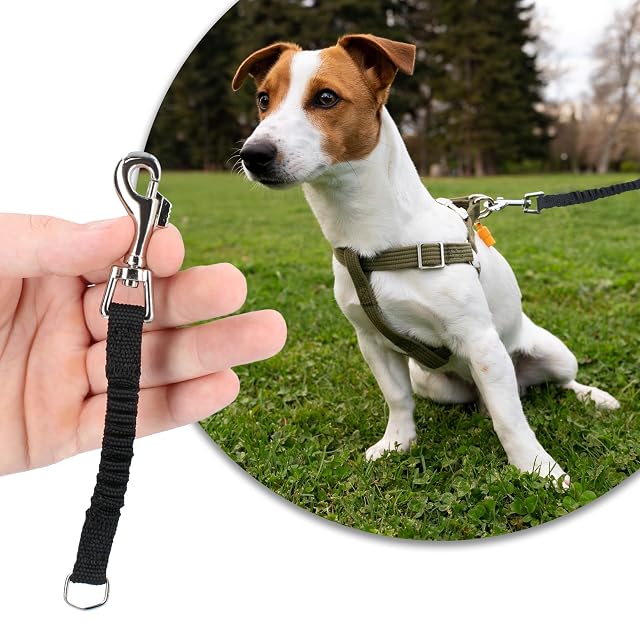 Foto 4 de 8 de Correa Amortiguador para Perro Extensión Apéndice Perros Pequeños Elástico Antitirones Absorción de Impactos…
