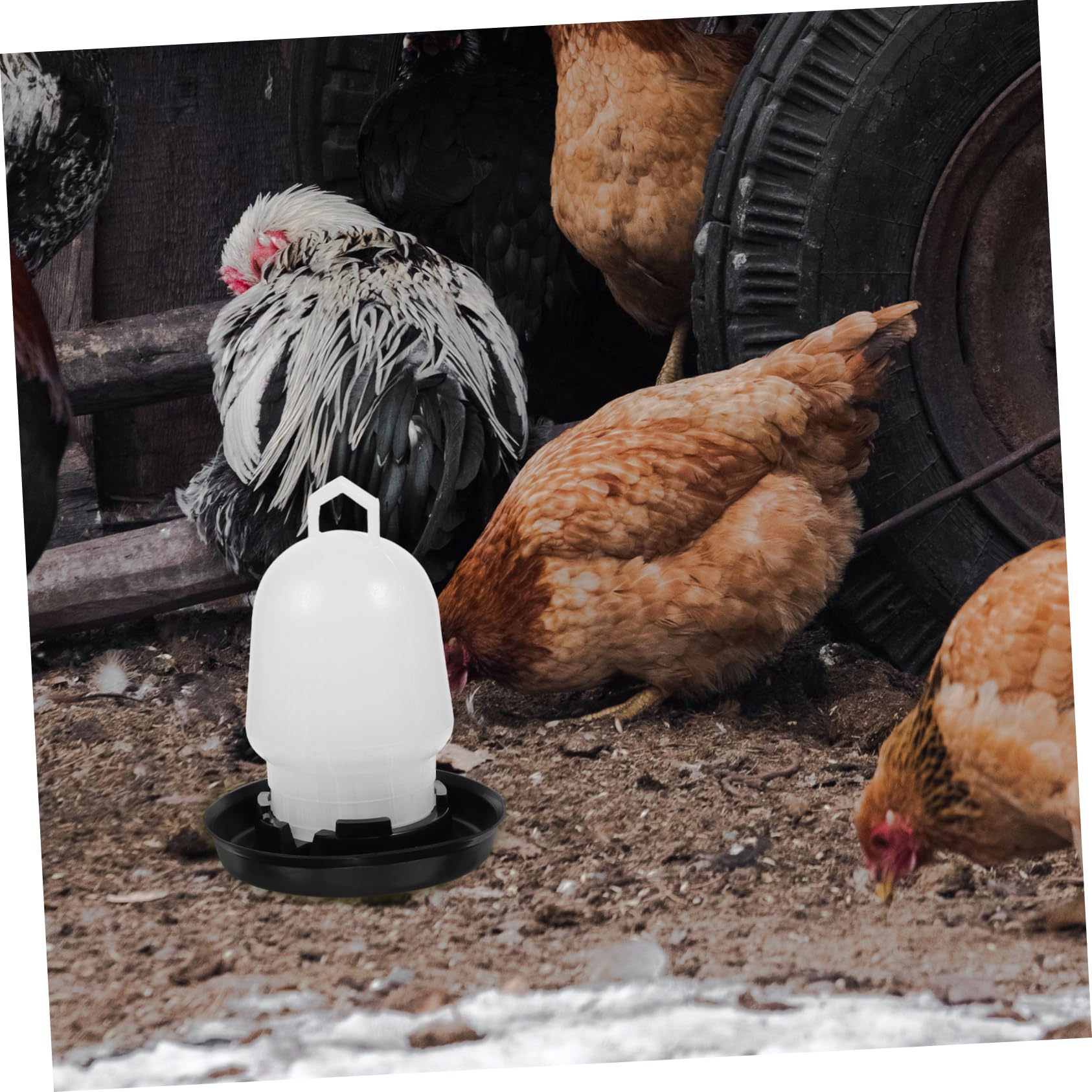GALPADA Automatic Chicken Water Feeder Poultry Waterer with Clip Design for Easy Filling for Chickens Ducks Geese and Quail Essential Chicken Supplies