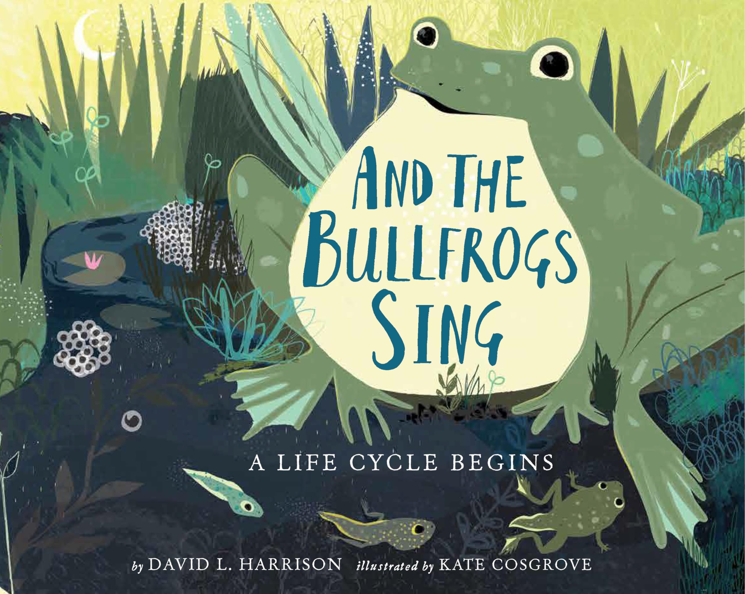 子供英語　Bullfrog Books Cセット 31冊 0020020000012.jpg
