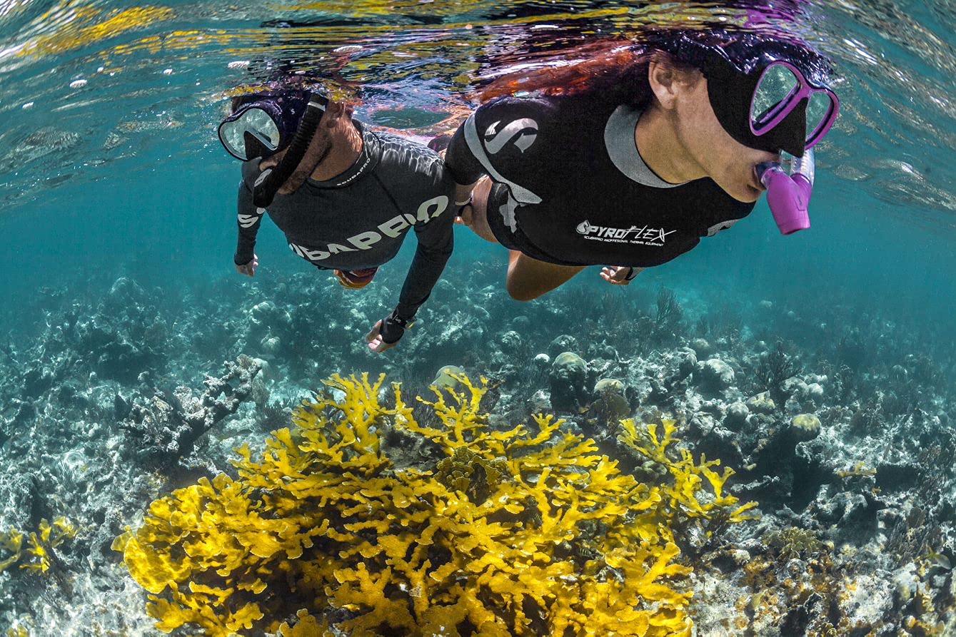Scubapro Spectra Snorkel Black/Silver