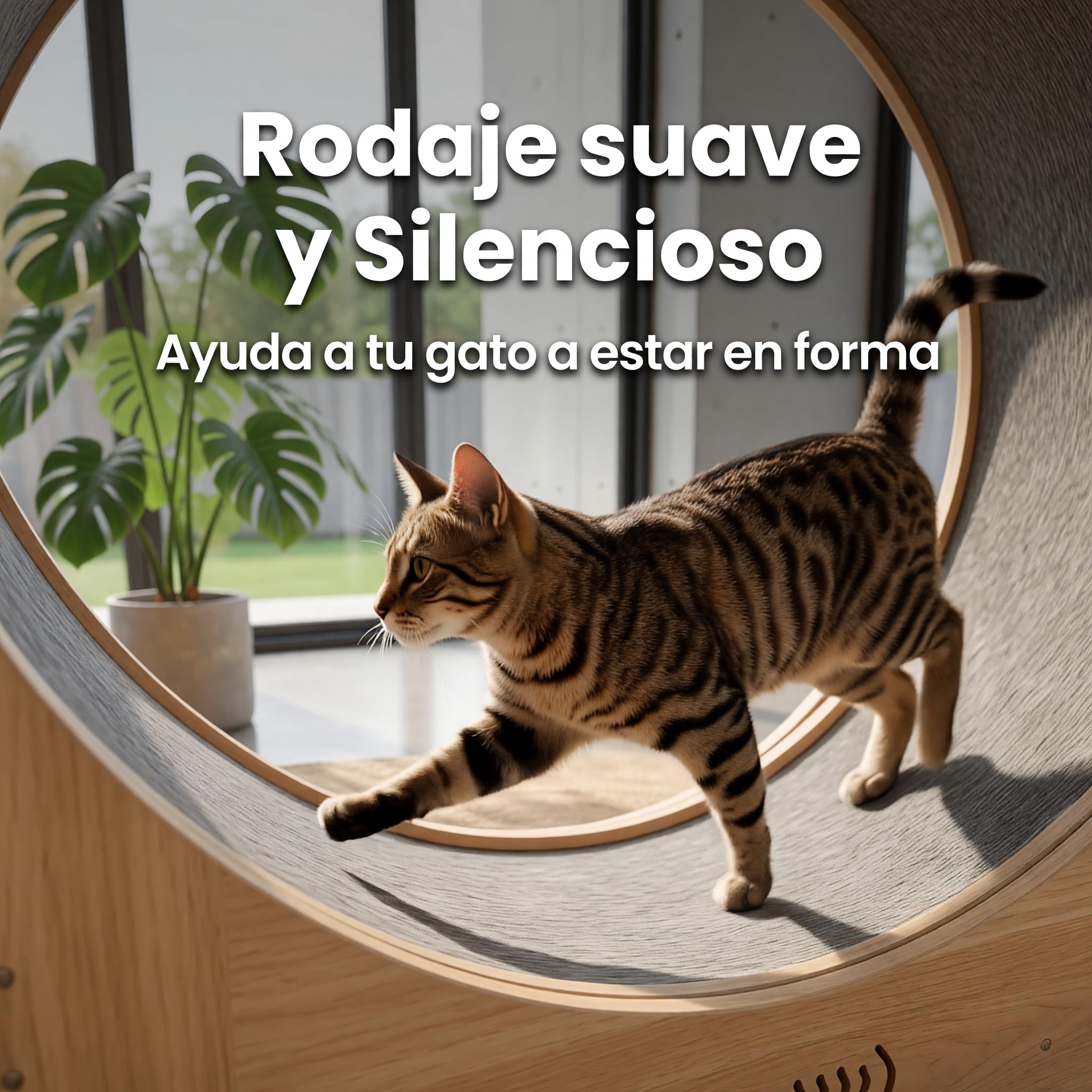 Rueda de Ejercicio para Gatos de Madera Maciza 5 en 1 (100cm) con Casita Integrada, Rascador, Plataformas y Cuencos – Cinta de Correr Silenciosa y Estable para Gatos Grandes y Perros Pequeños