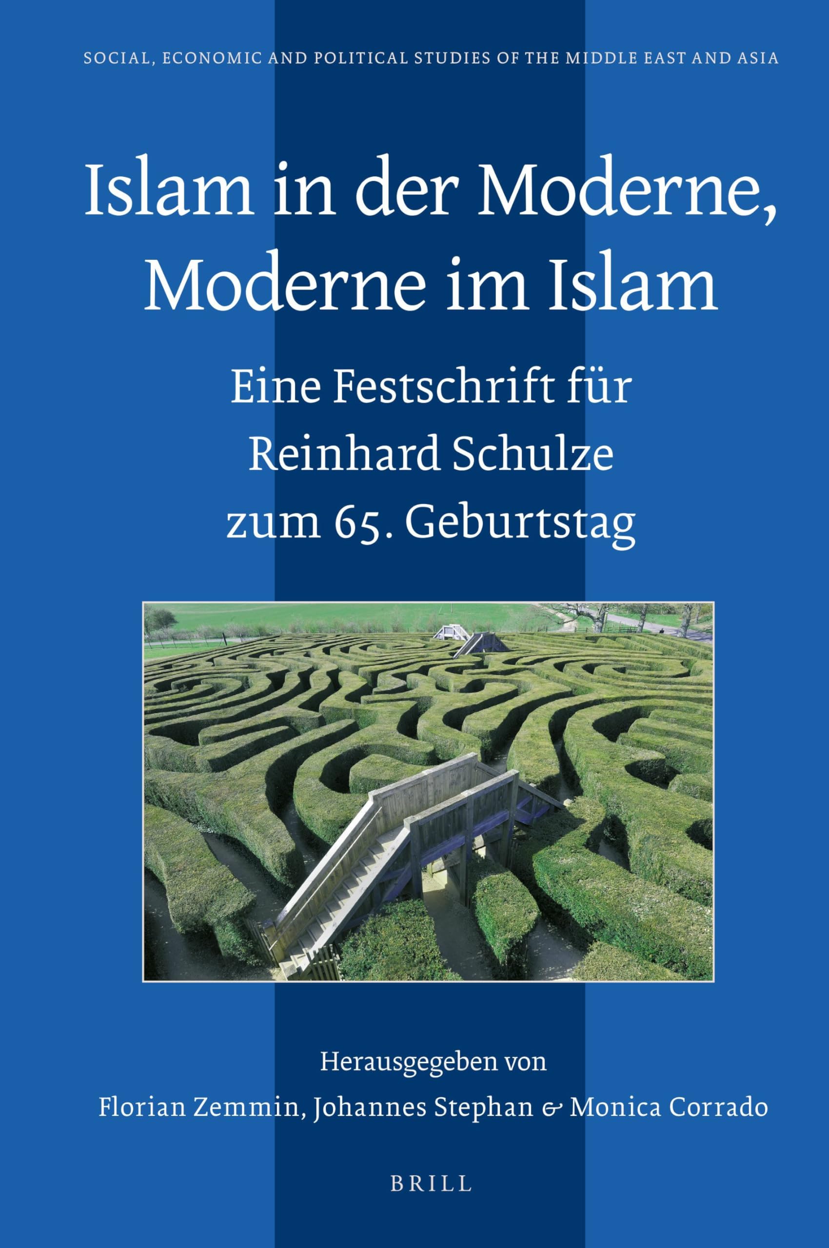 Islam in der Moderne, Moderne im Islam: Eine Festschrift für Reinhard Schulze zum 65. Geburtstag: 119 (Social, Economic and Political Studies of the Middle East and Asia, 119)